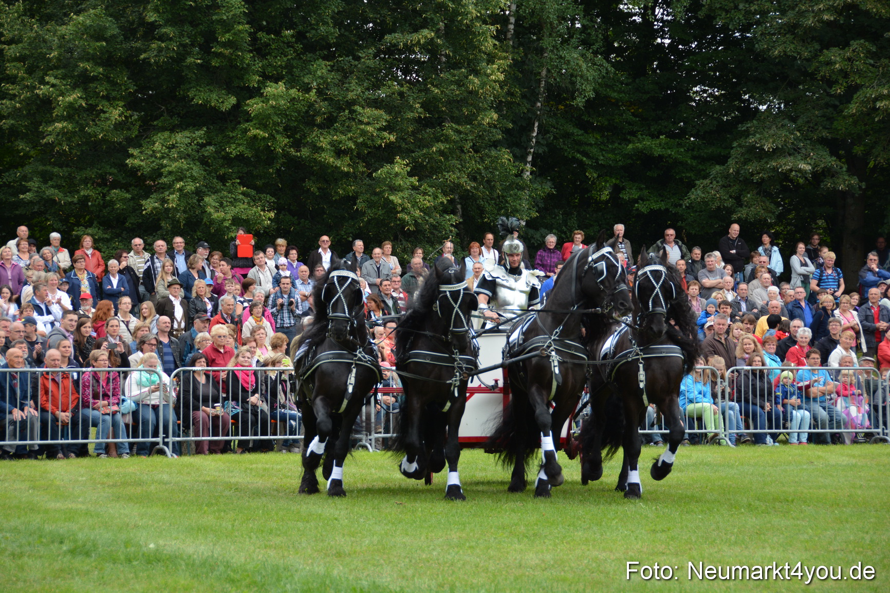 Pferdeschau JURA Volksfest 180814 0014