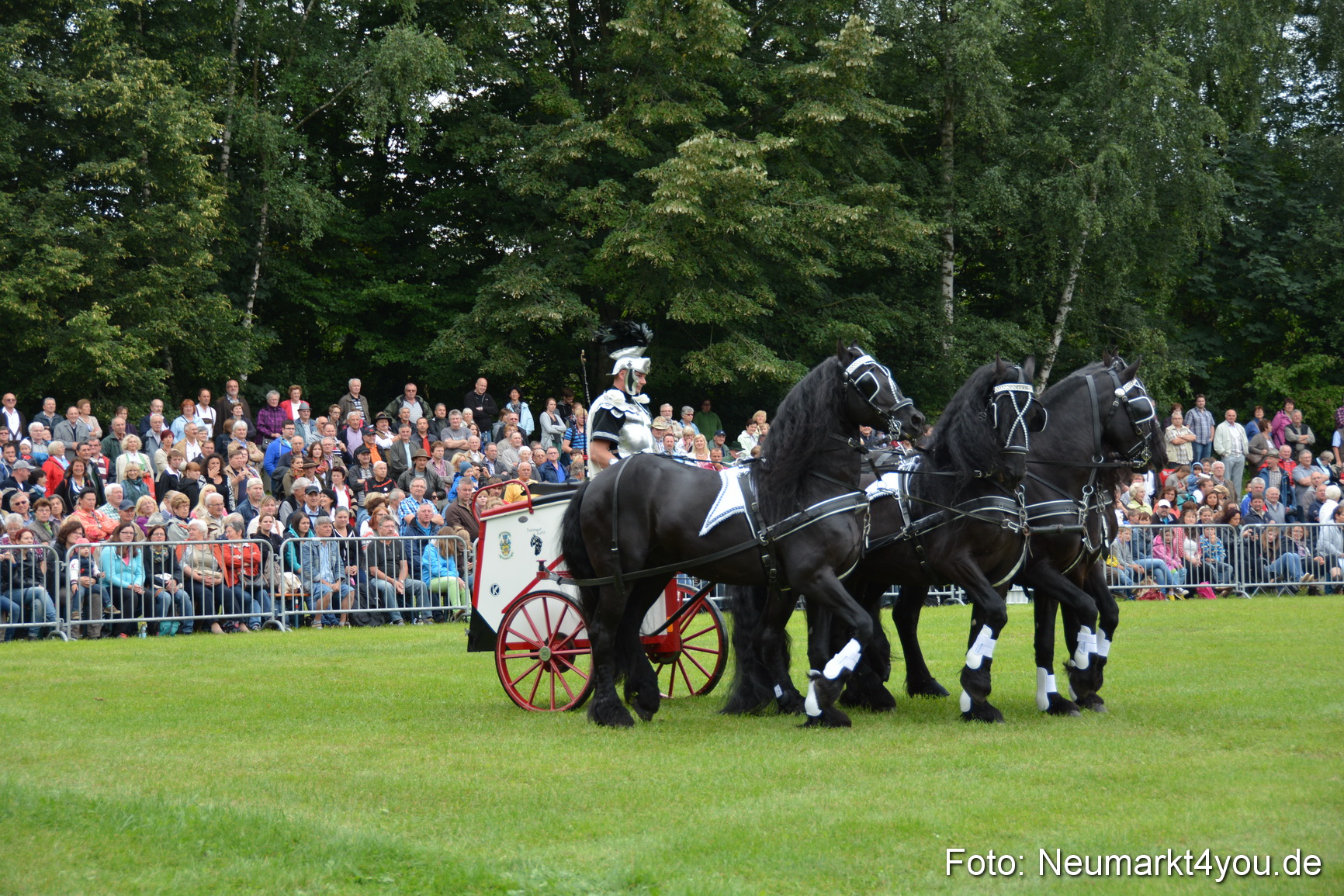 Pferdeschau JURA Volksfest 180814 0015