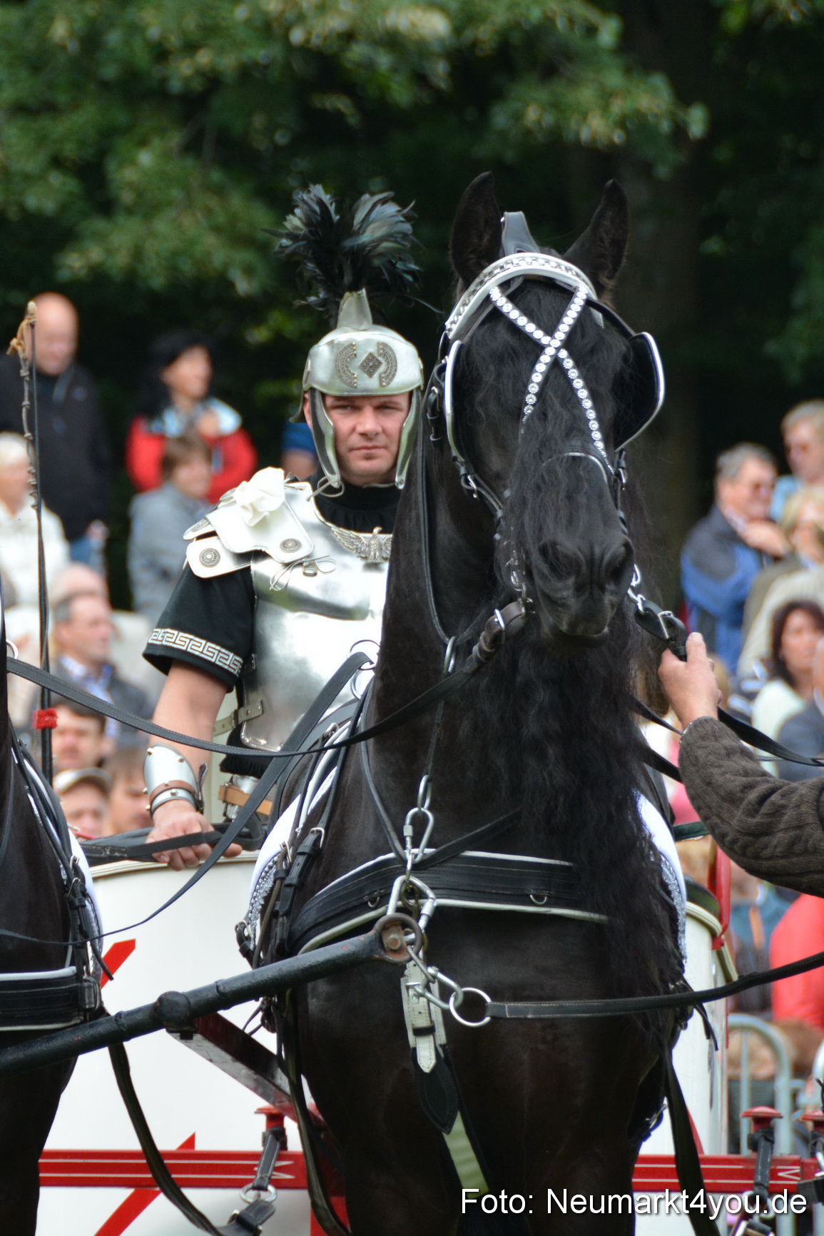 Pferdeschau JURA Volksfest 180814 0018