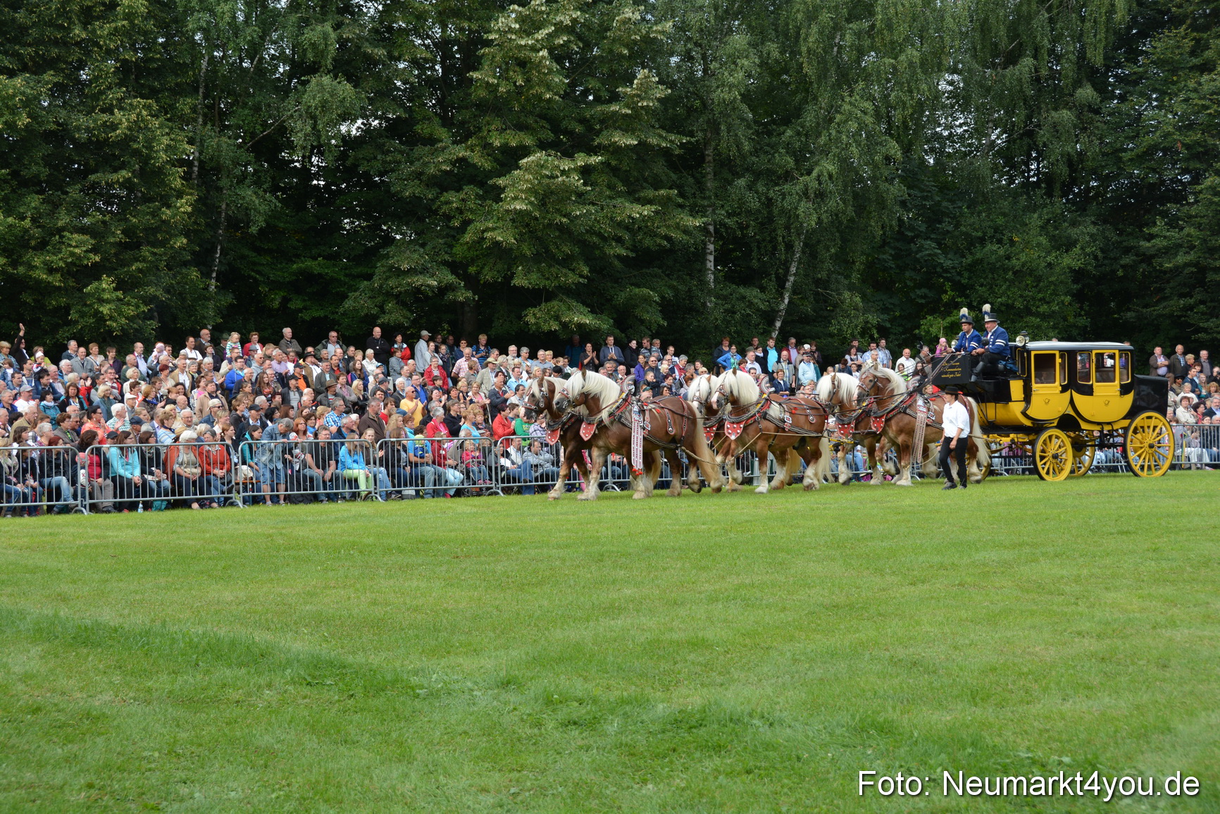 Pferdeschau JURA Volksfest 180814 0019
