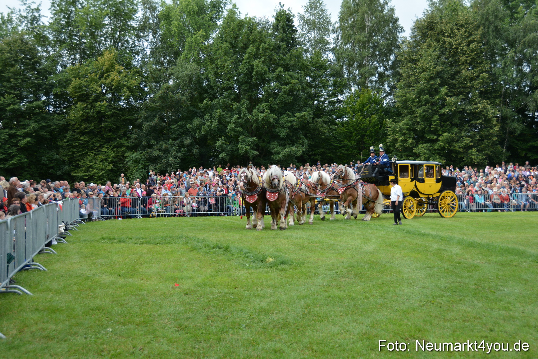 Pferdeschau JURA Volksfest 180814 0020