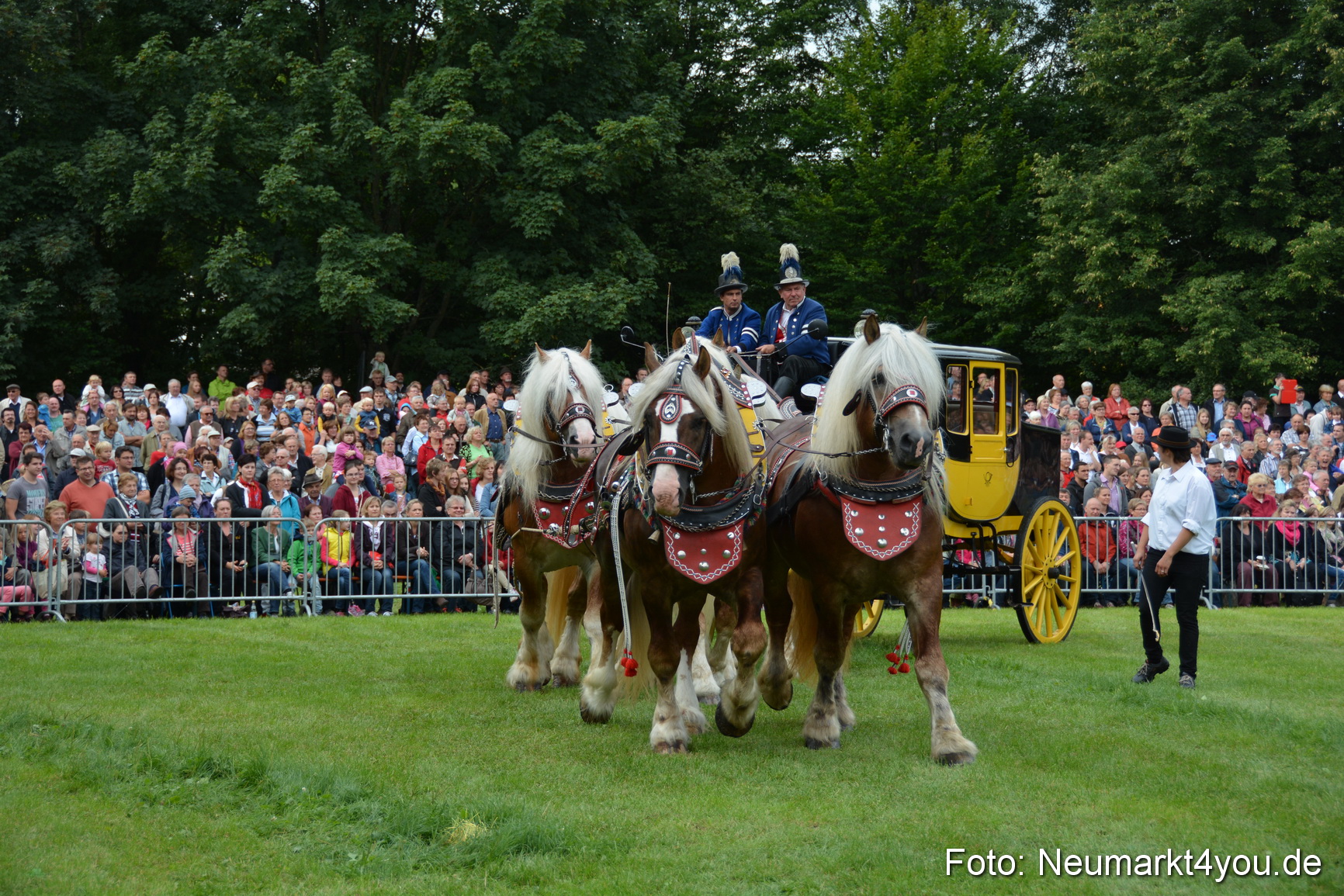 Pferdeschau JURA Volksfest 180814 0021