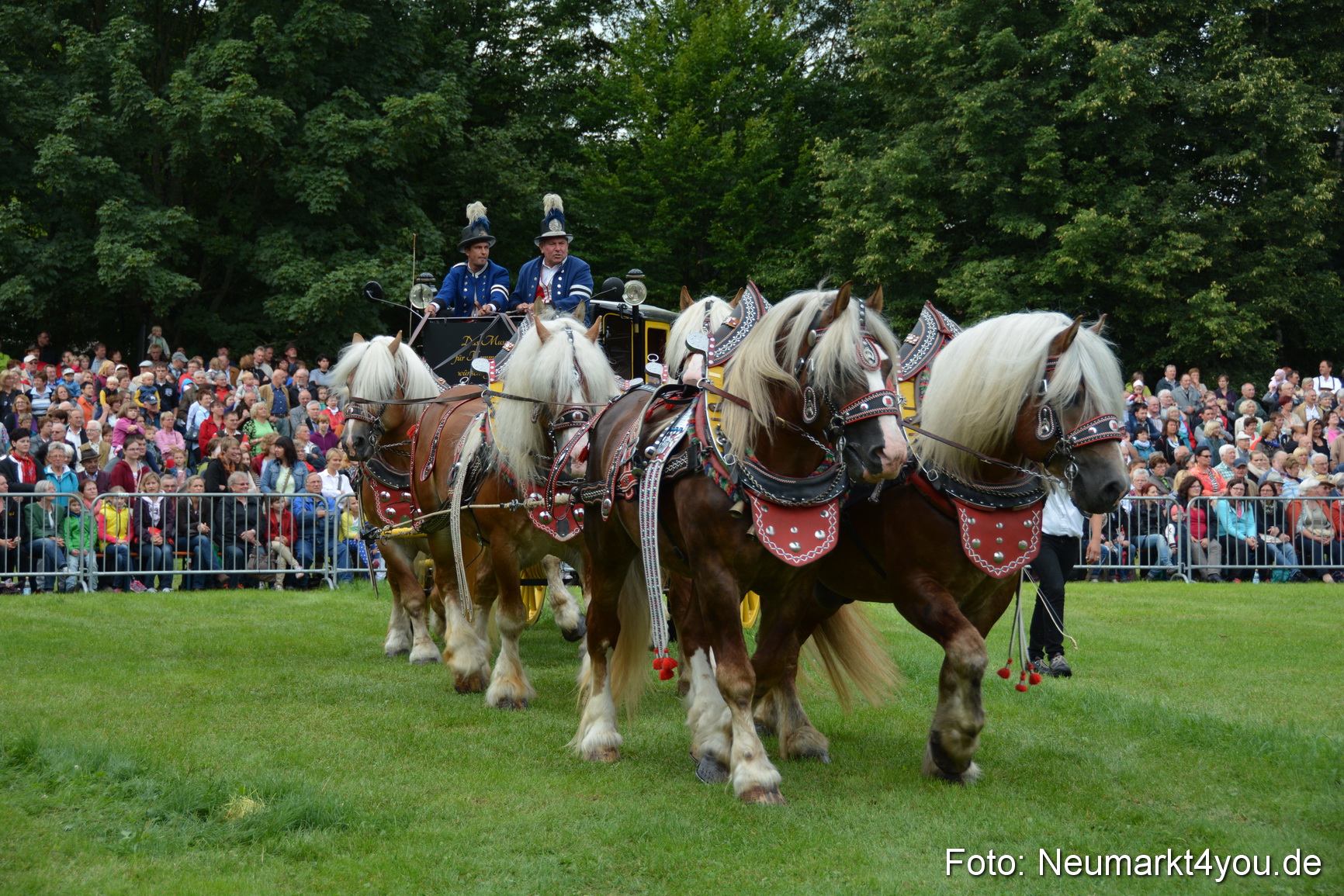Pferdeschau JURA Volksfest 180814 0022