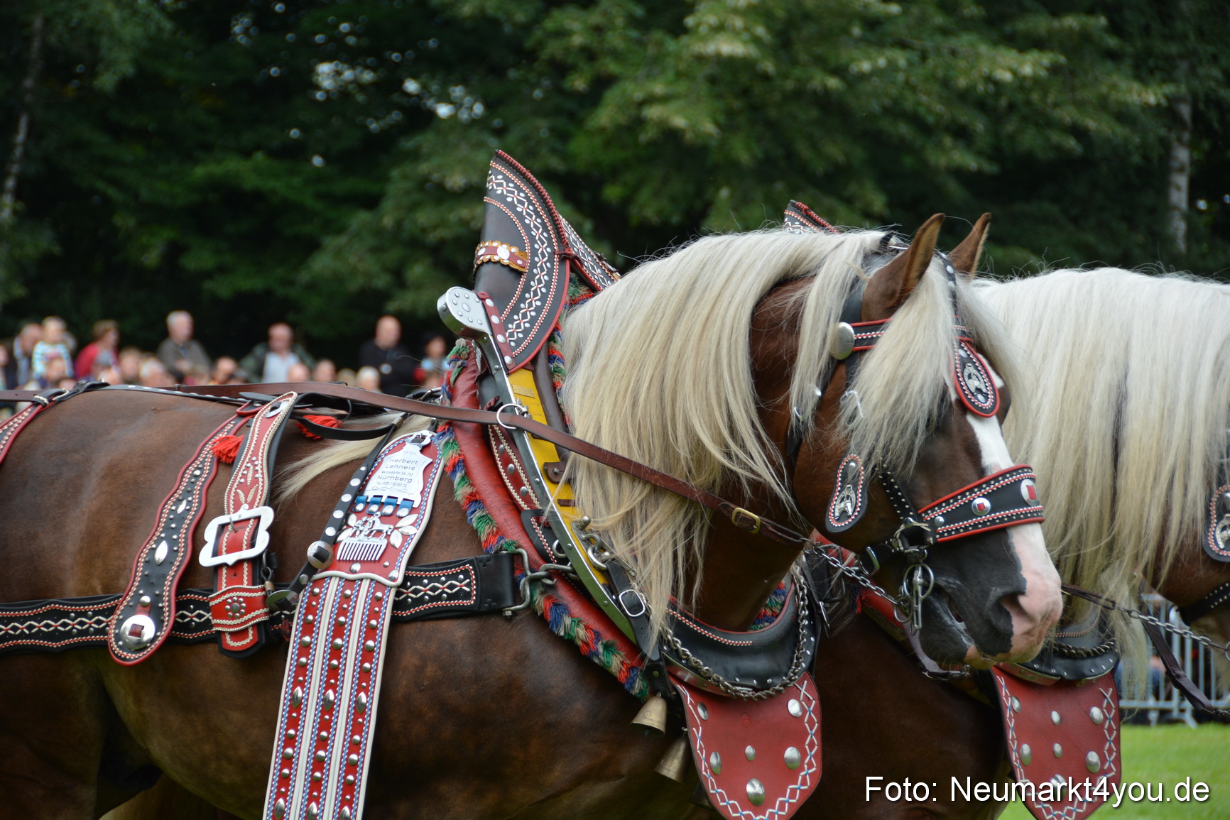 Pferdeschau JURA Volksfest 180814 0023
