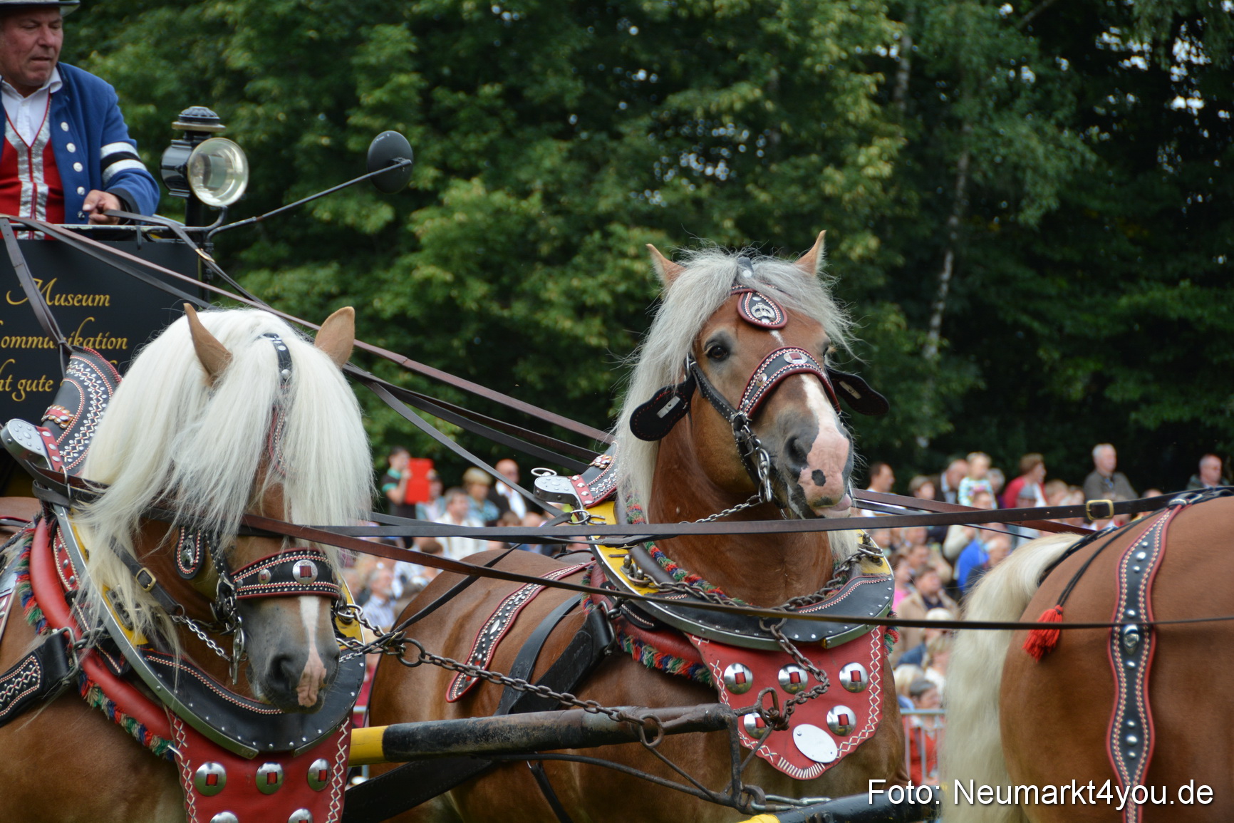 Pferdeschau JURA Volksfest 180814 0024