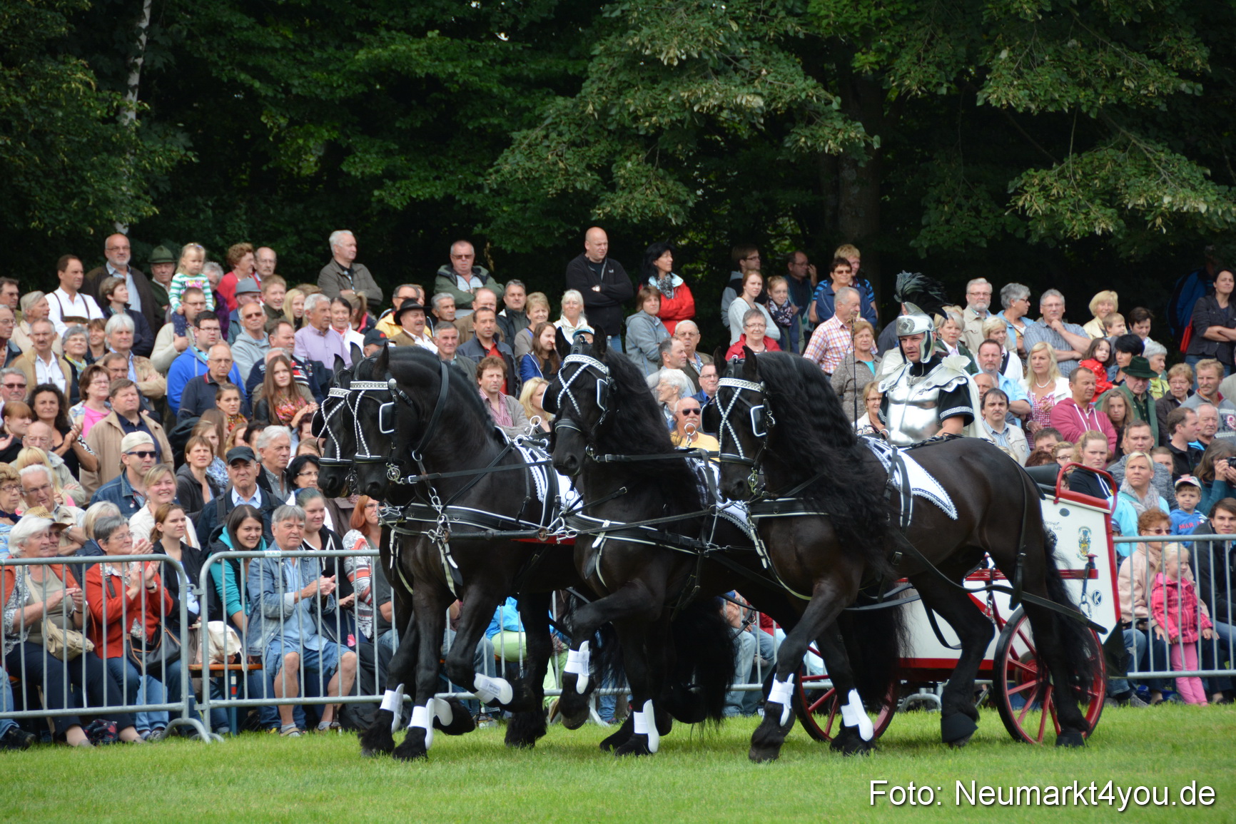 Pferdeschau JURA Volksfest 180814 0025