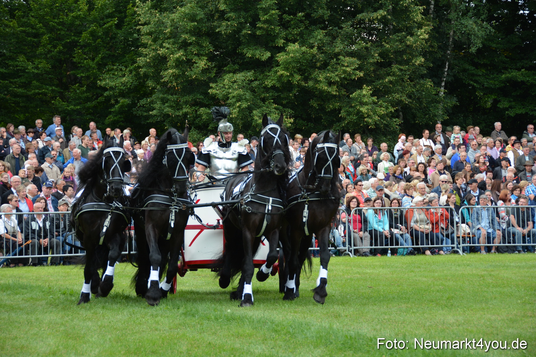 Pferdeschau JURA Volksfest 180814 0026
