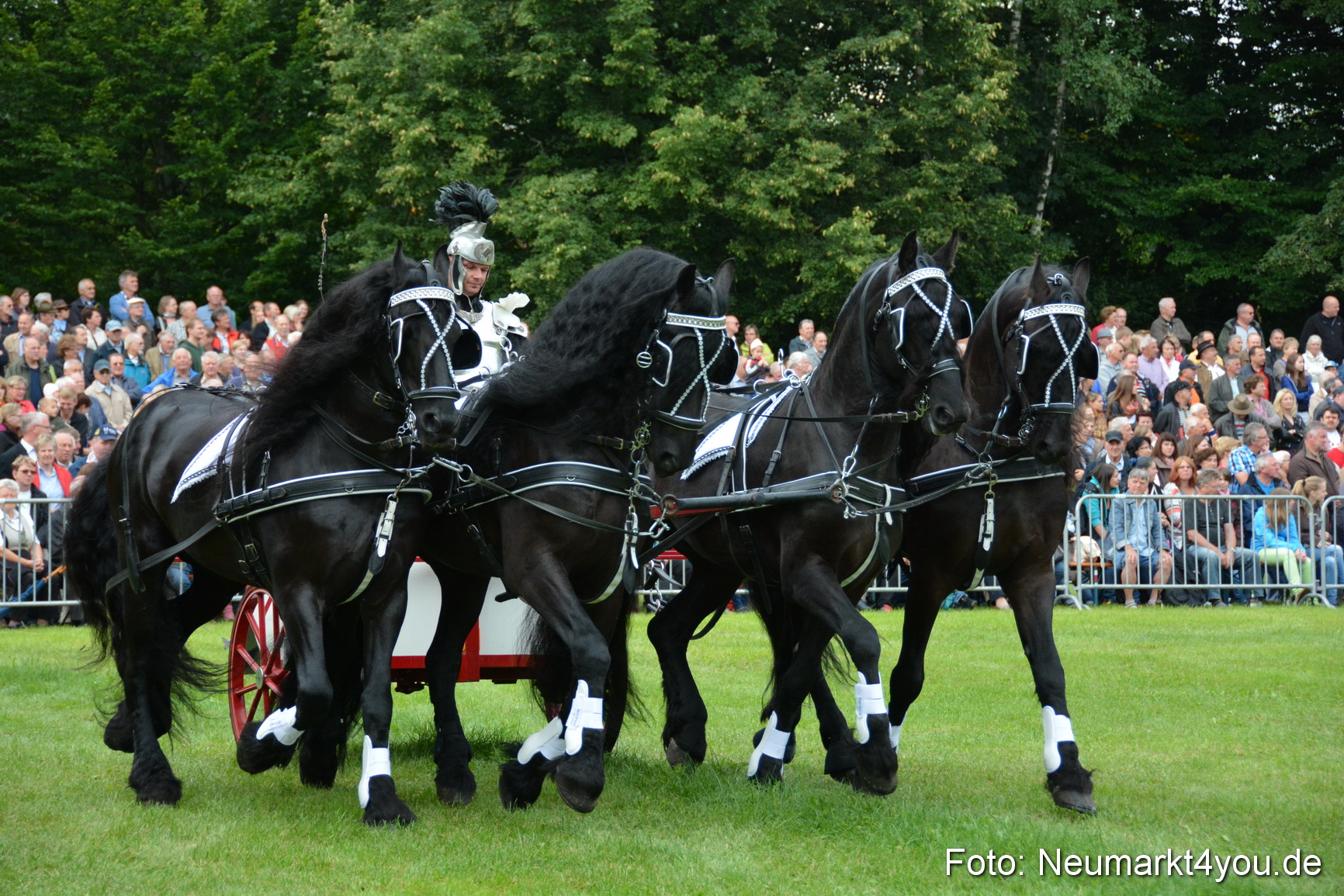 Pferdeschau JURA Volksfest 180814 0027