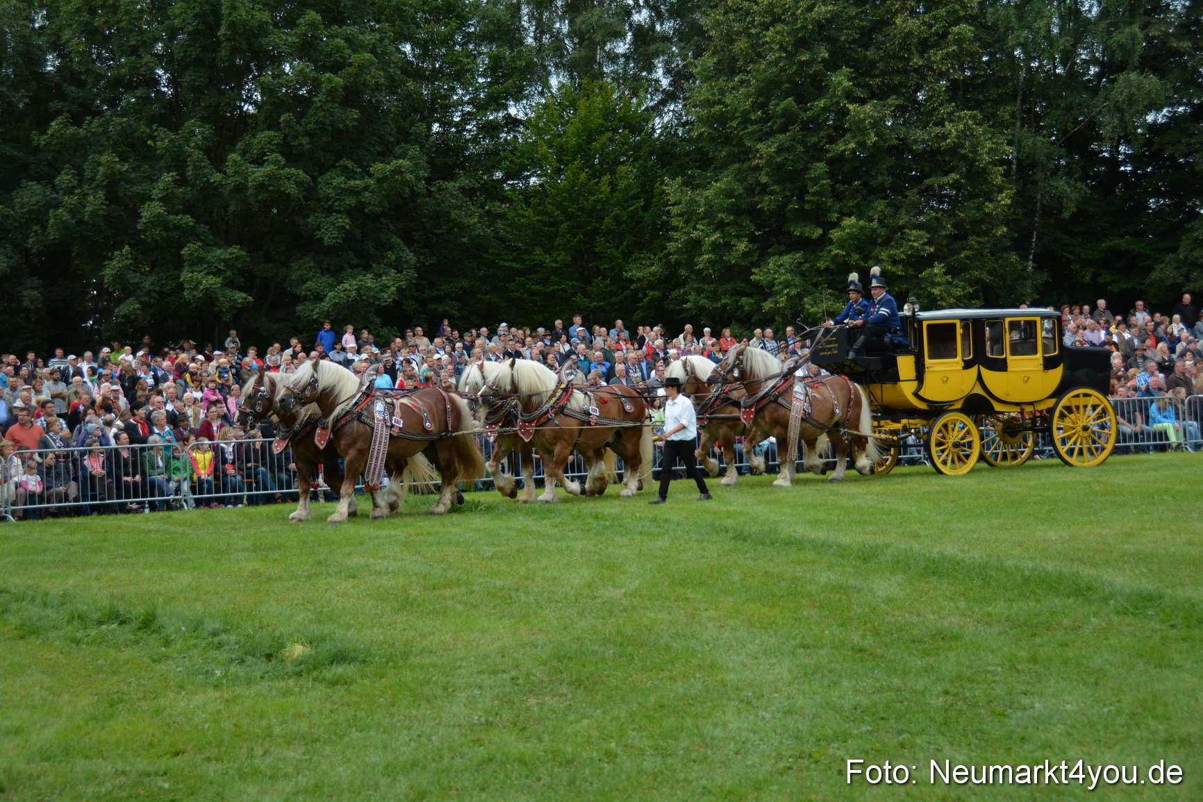 Pferdeschau JURA Volksfest 180814 0028