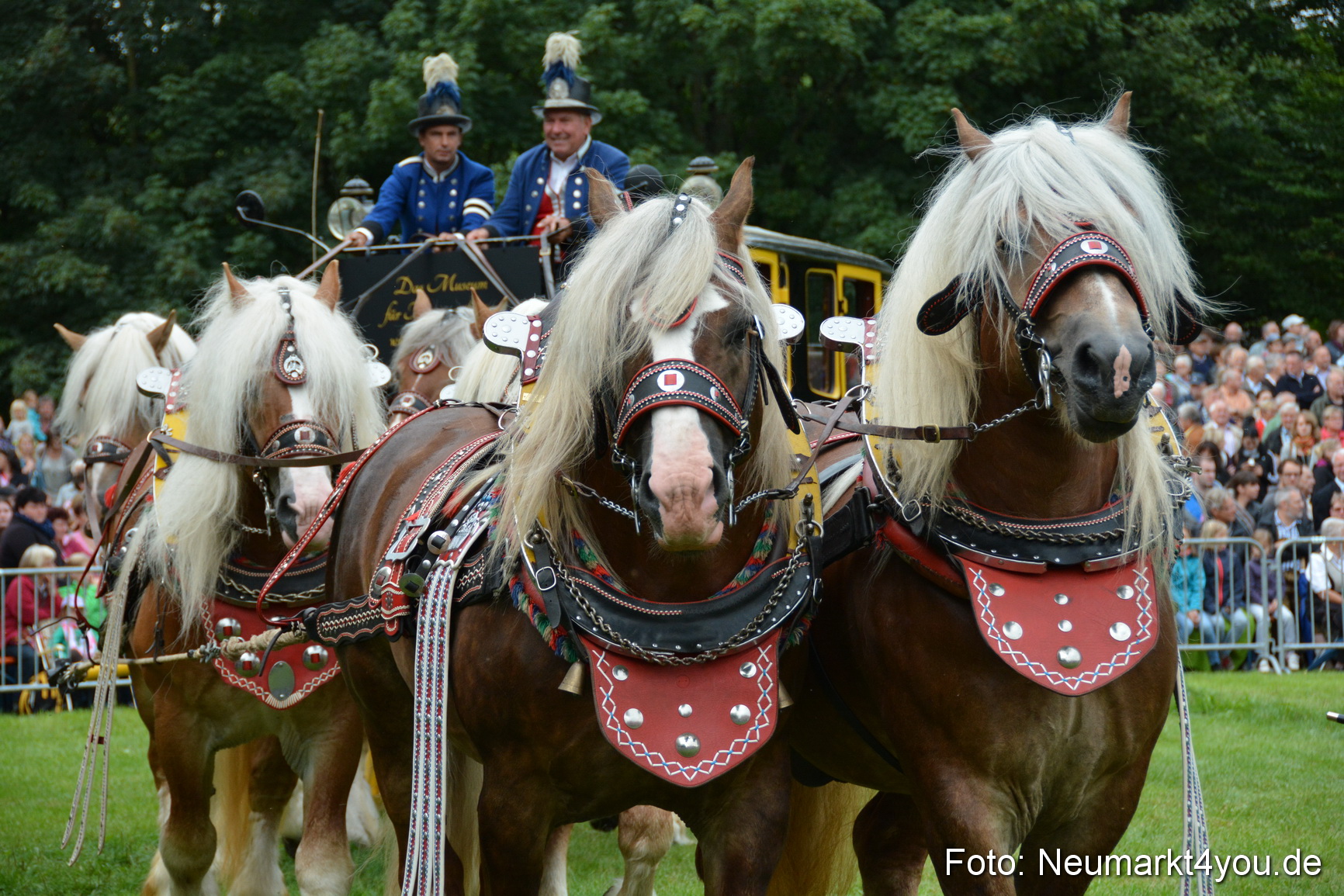 Pferdeschau JURA Volksfest 180814 0029