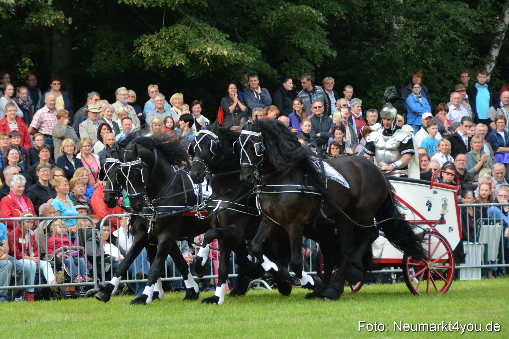 Pferdeschau JURA Volksfest 180814 0031