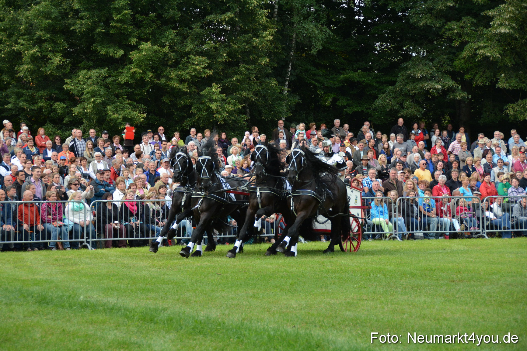 Pferdeschau JURA Volksfest 180814 0032