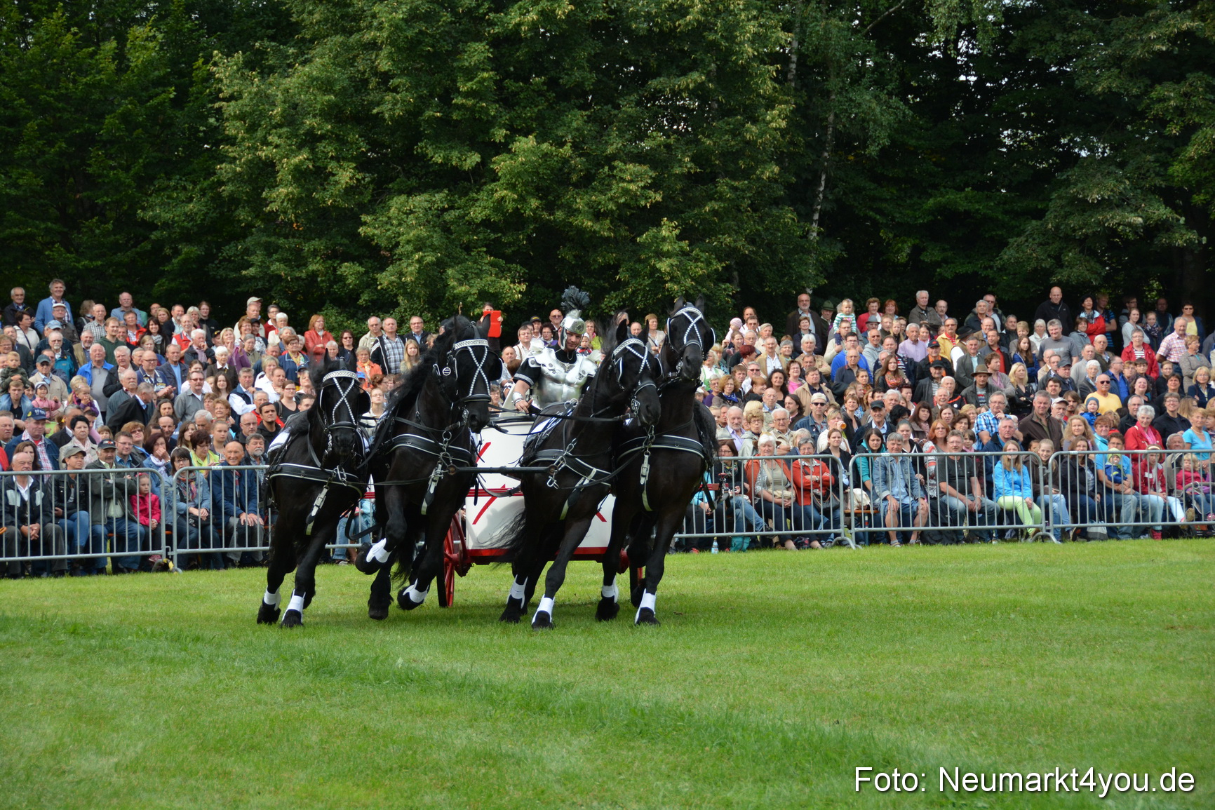 Pferdeschau JURA Volksfest 180814 0033