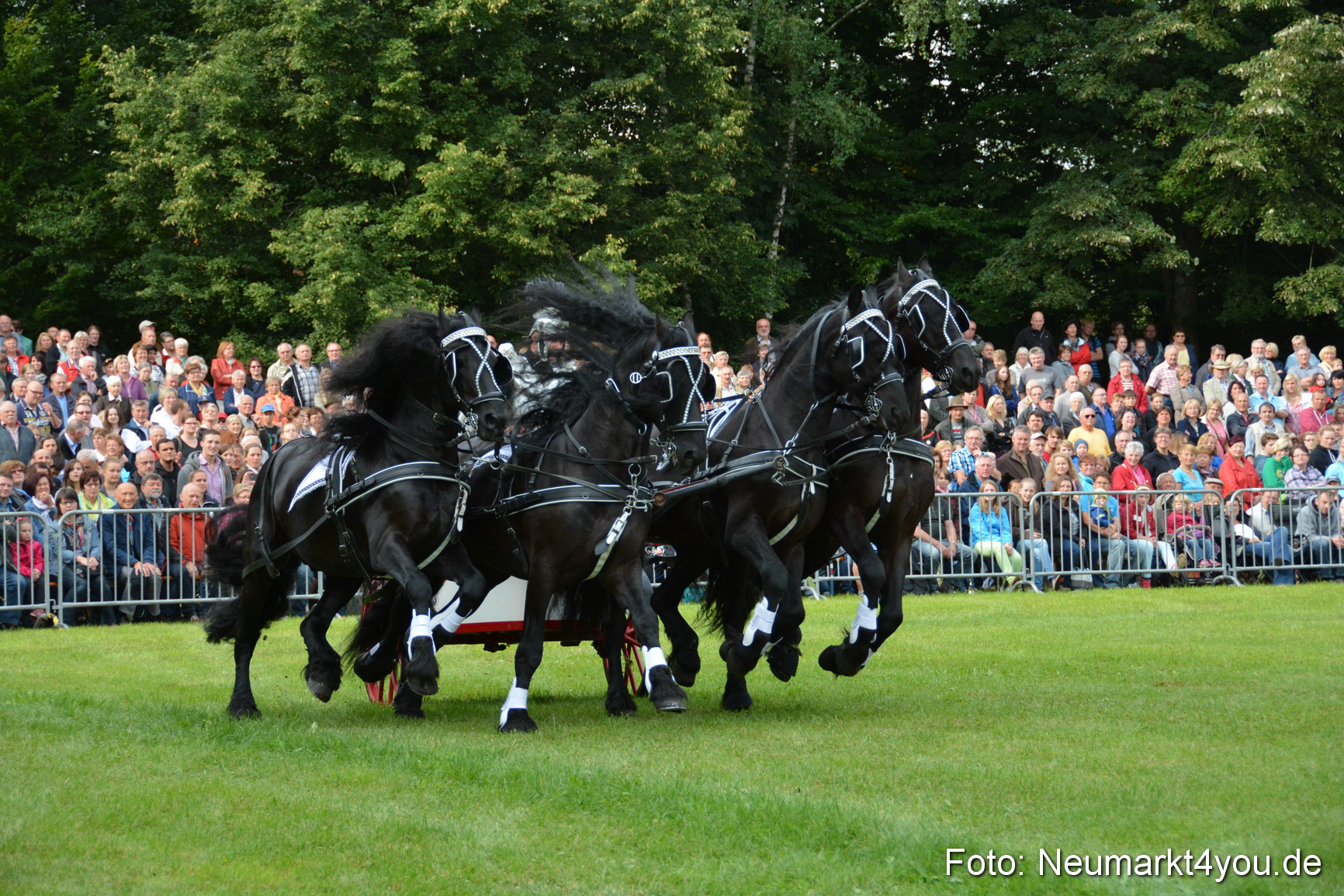 Pferdeschau JURA Volksfest 180814 0034