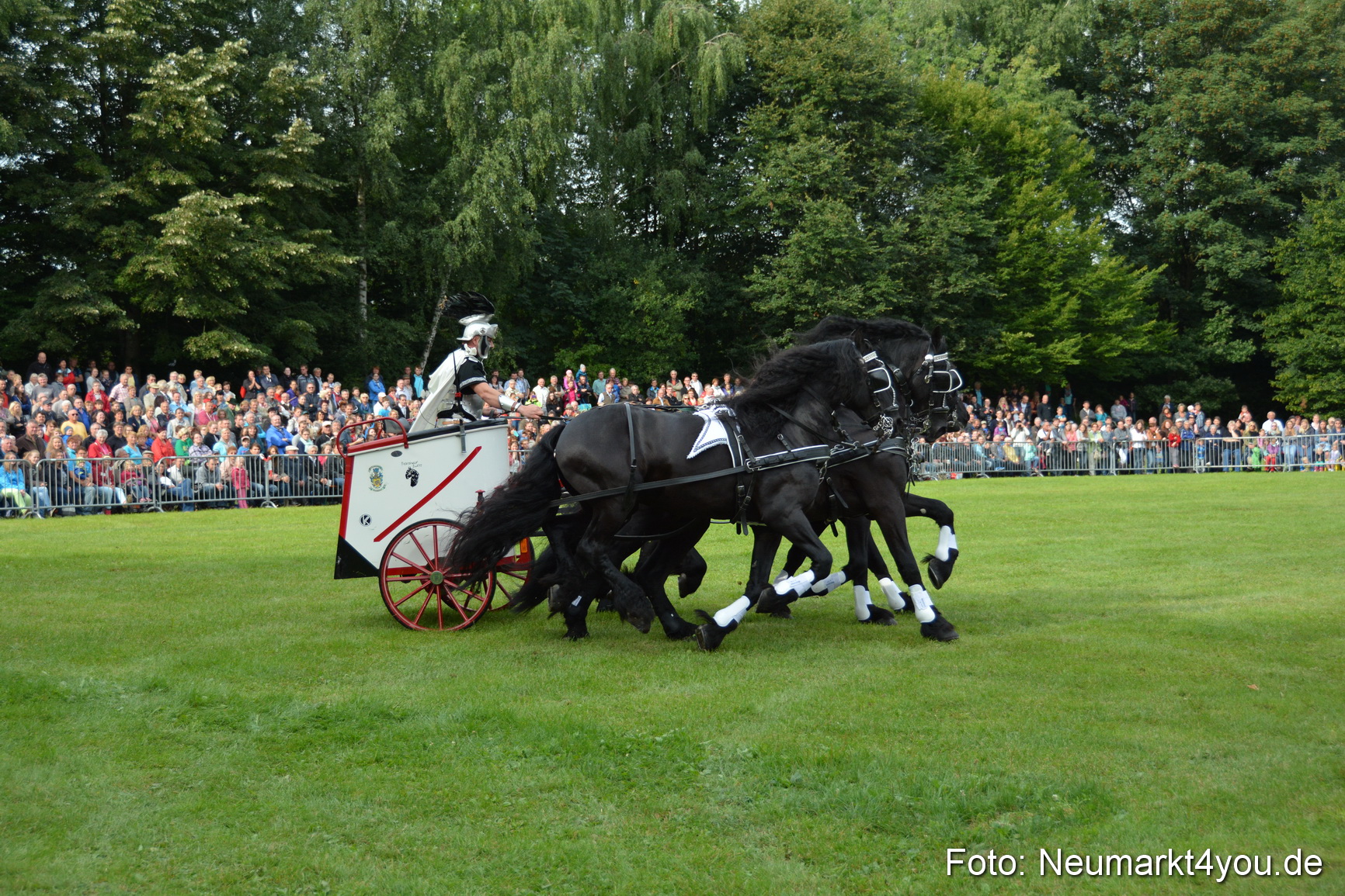 Pferdeschau JURA Volksfest 180814 0035