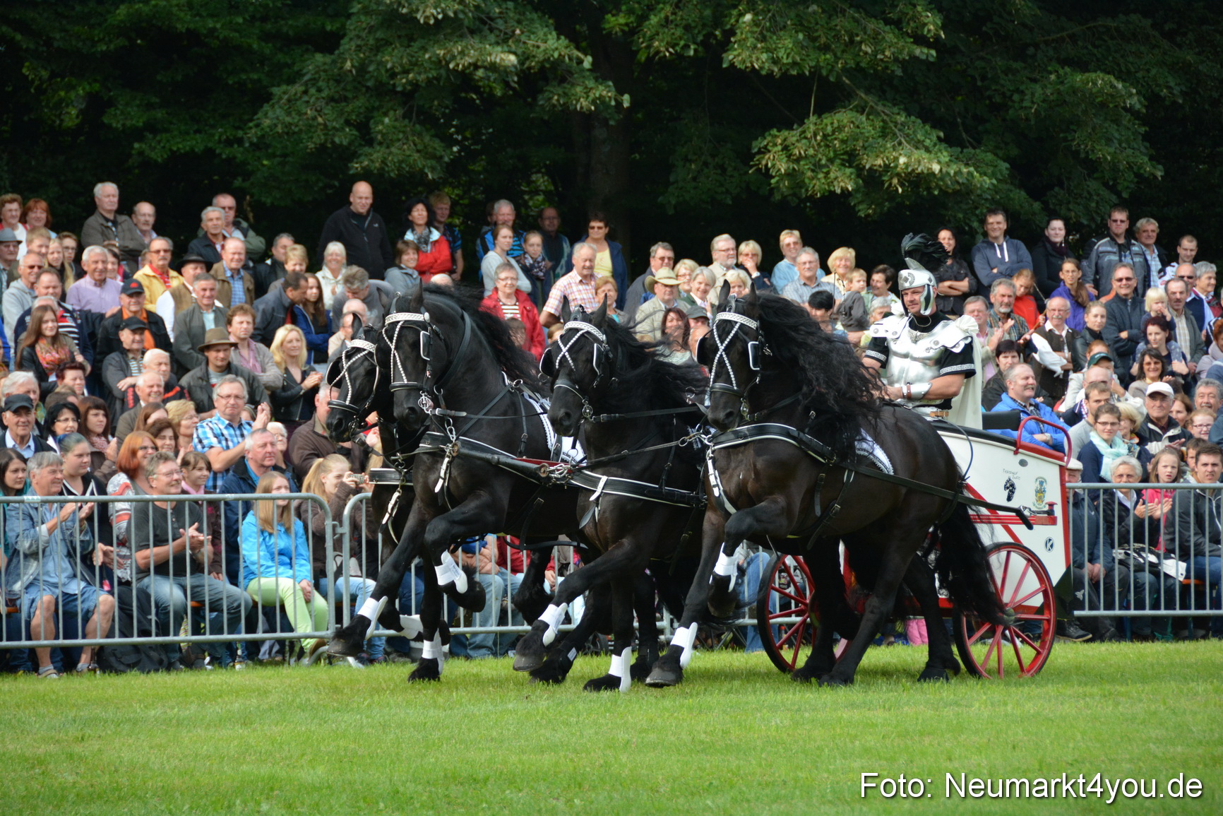 Pferdeschau JURA Volksfest 180814 0036
