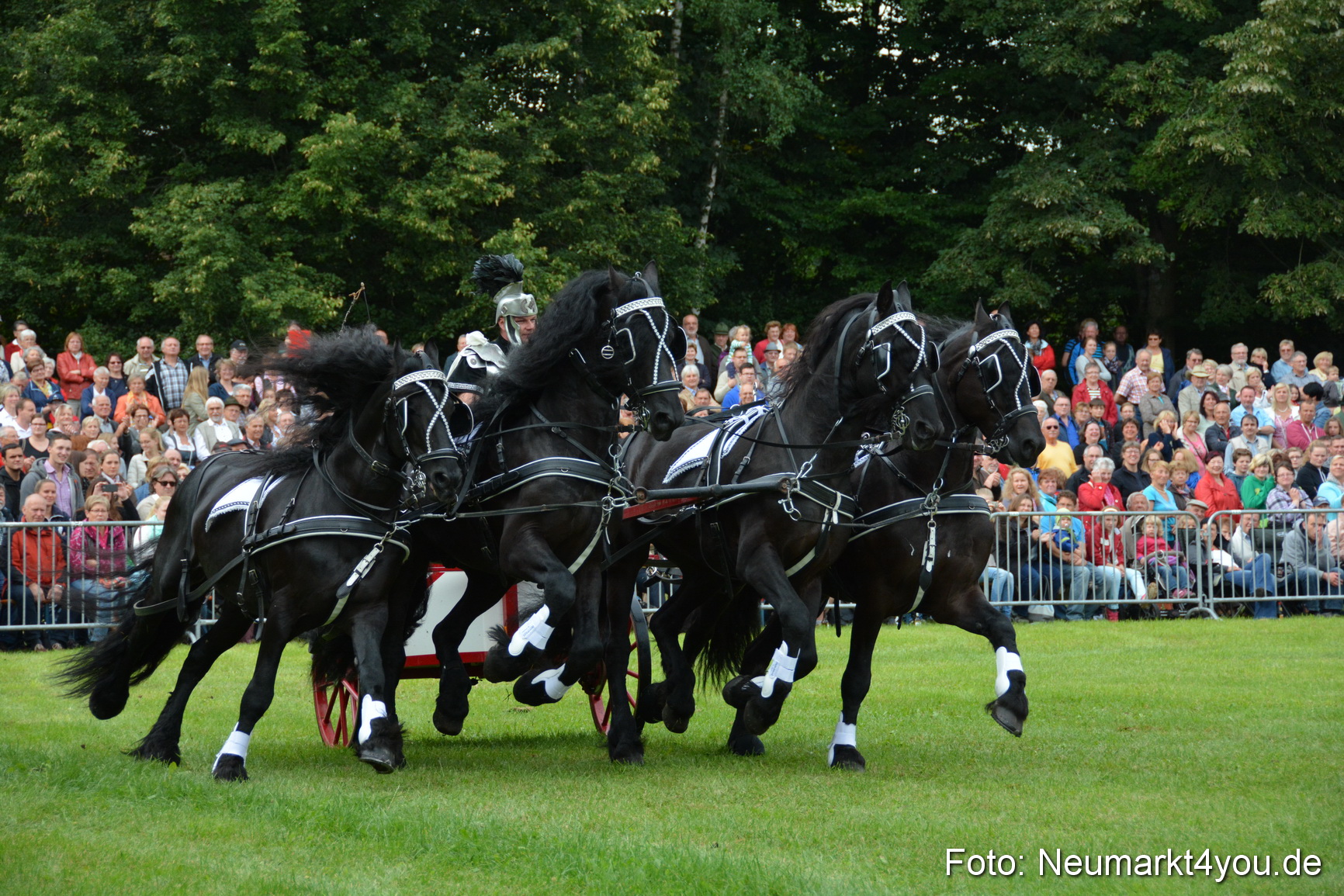 Pferdeschau JURA Volksfest 180814 0037