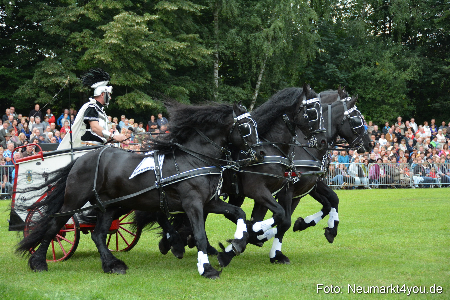 Pferdeschau JURA Volksfest 180814 0038