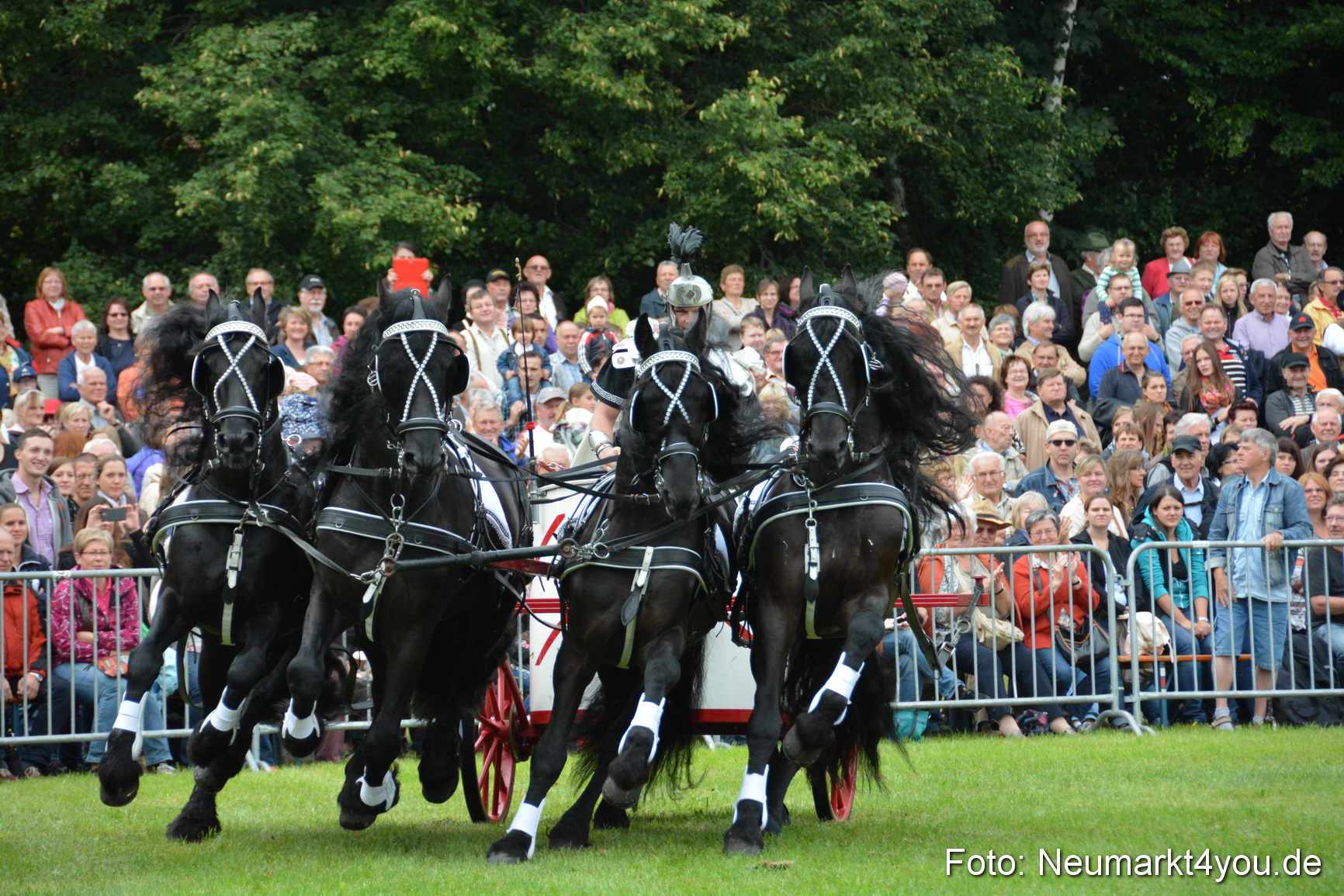 Pferdeschau JURA Volksfest 180814 0039