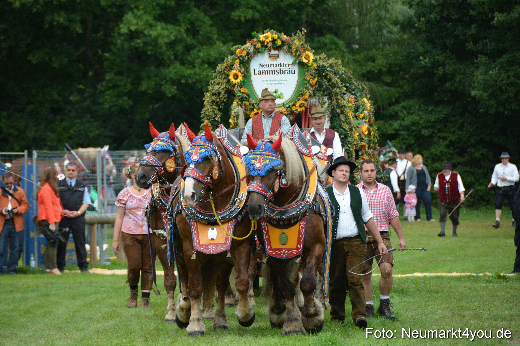 Pferdeschau JURA Volksfest 180814 0040