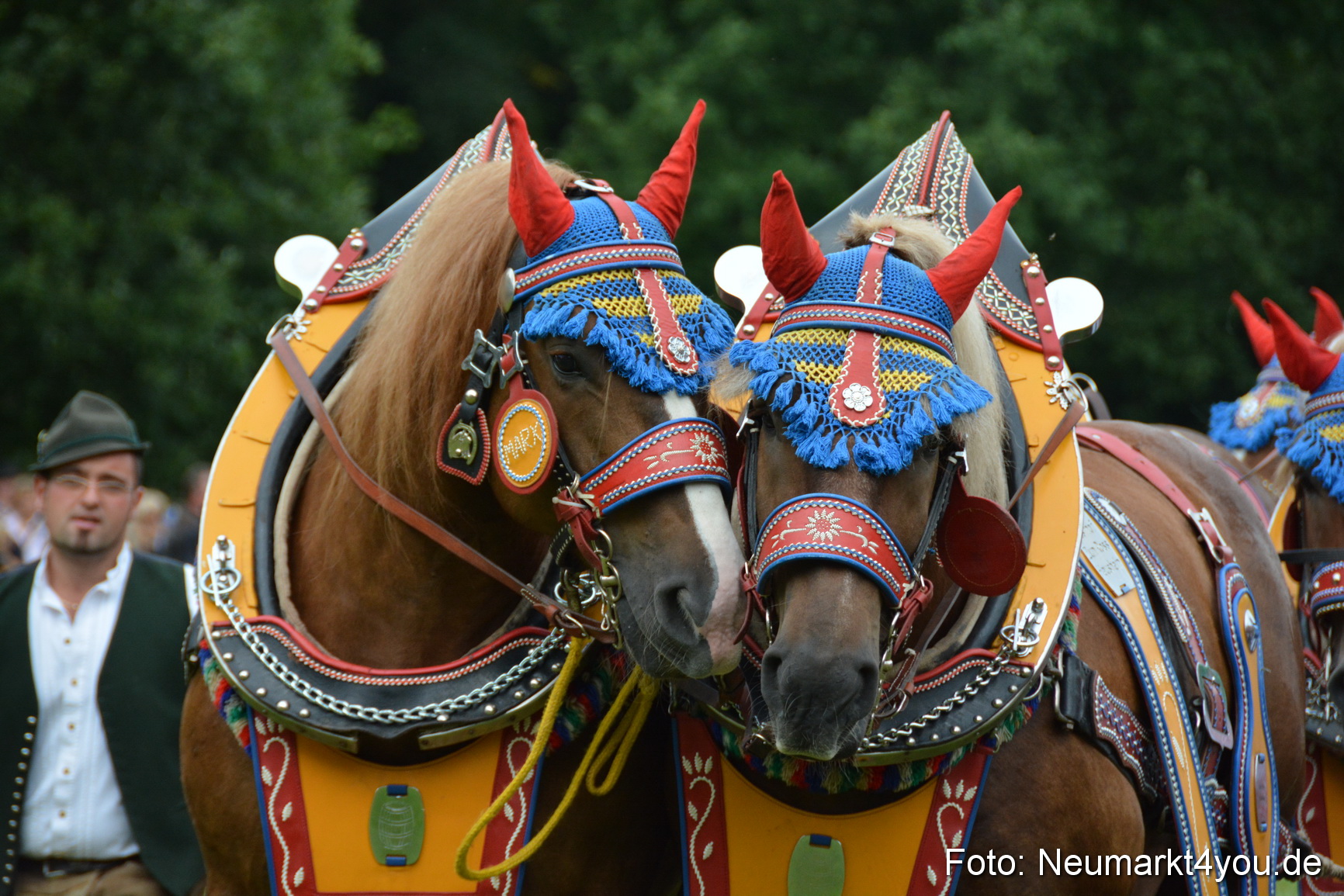 Pferdeschau JURA Volksfest 180814 0041