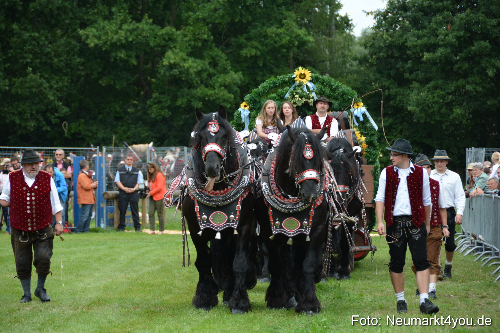 Pferdeschau JURA Volksfest 180814 0045