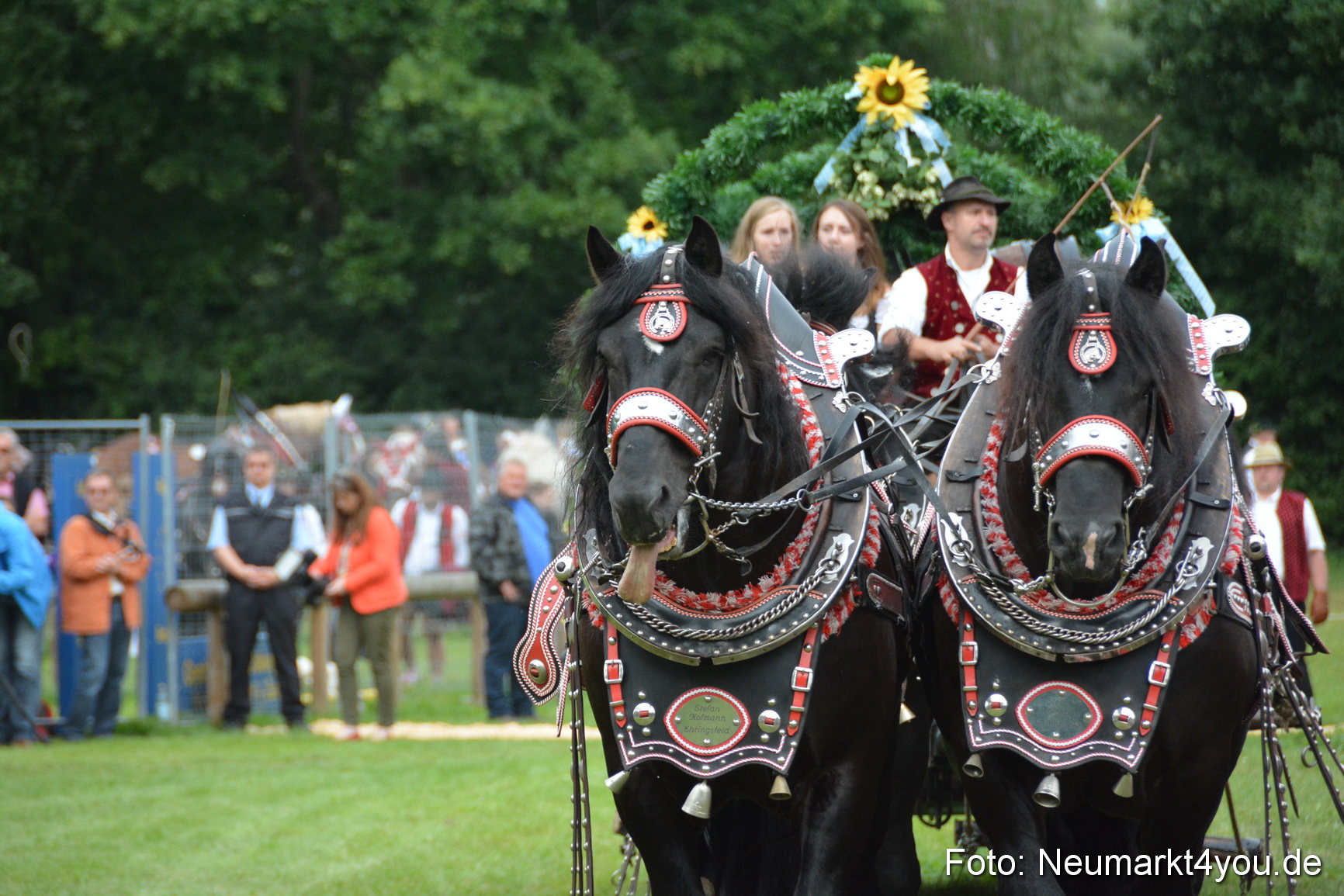 Pferdeschau JURA Volksfest 180814 0046