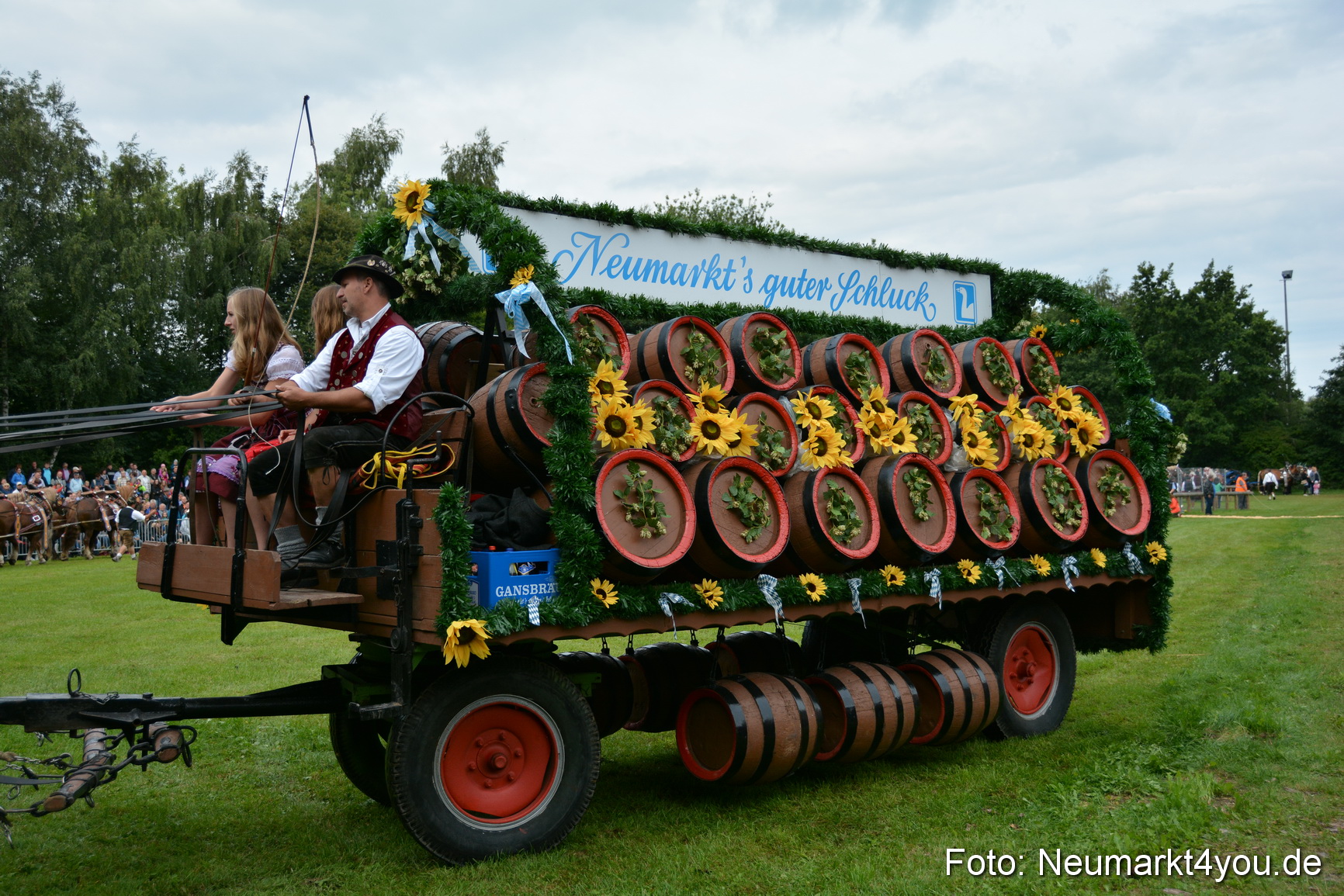 Pferdeschau JURA Volksfest 180814 0048