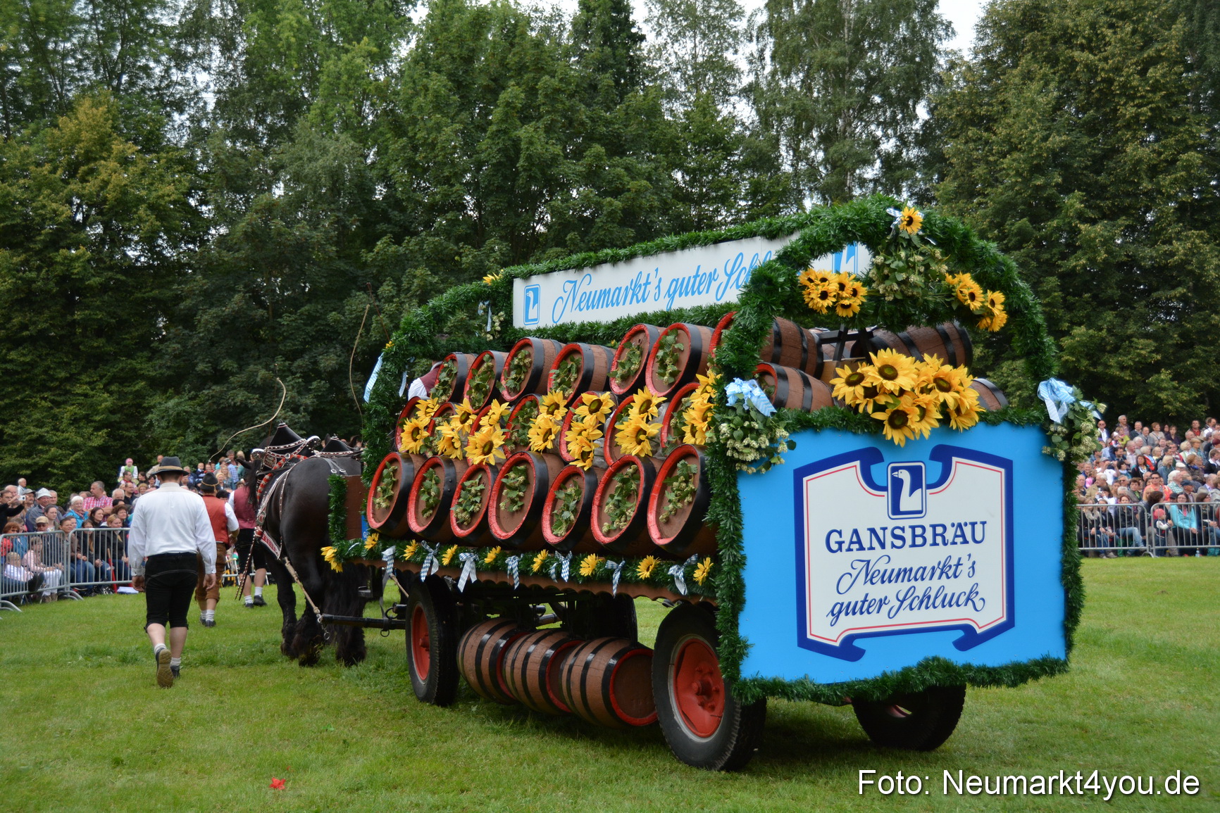 Pferdeschau JURA Volksfest 180814 0049
