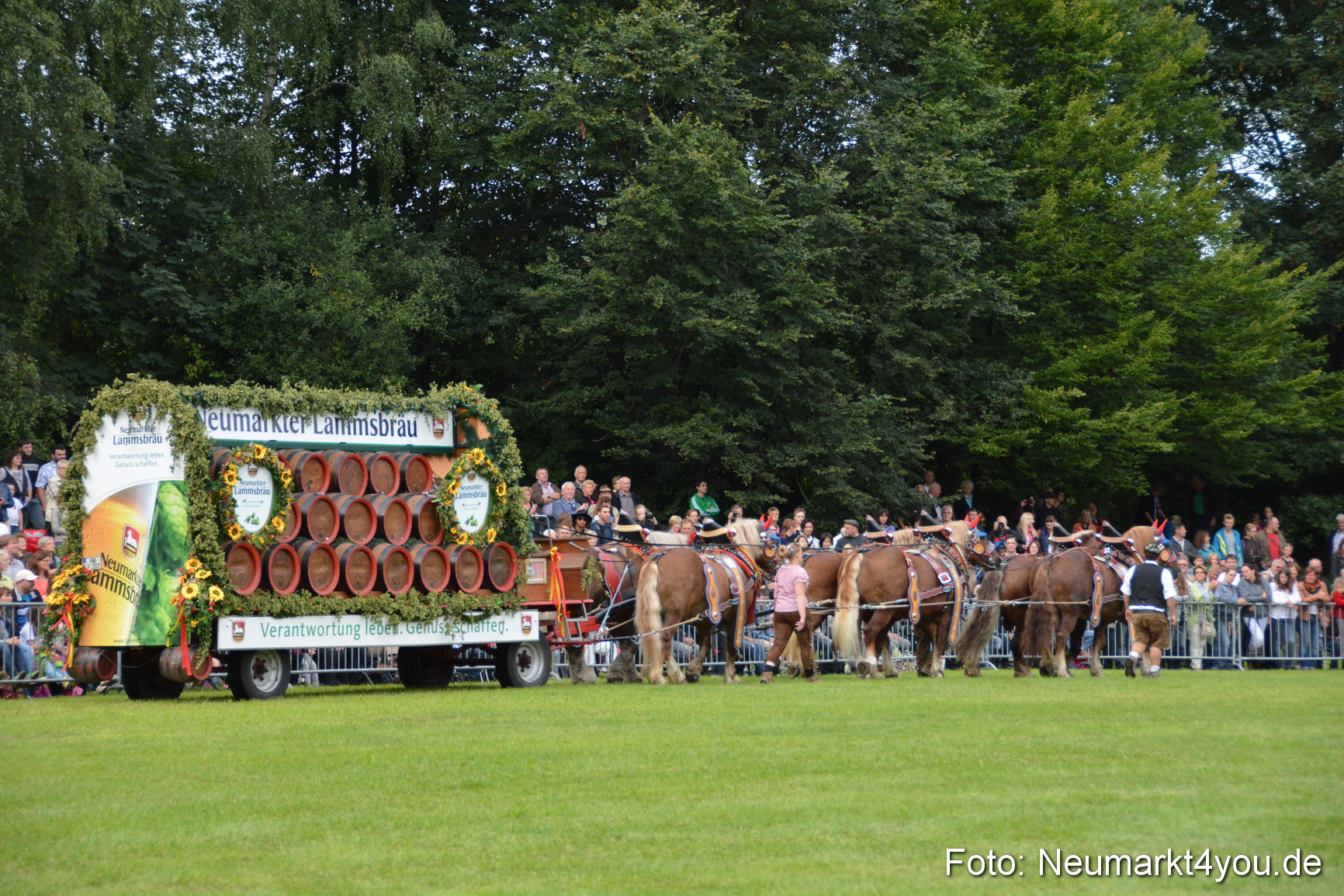 Pferdeschau JURA Volksfest 180814 0050