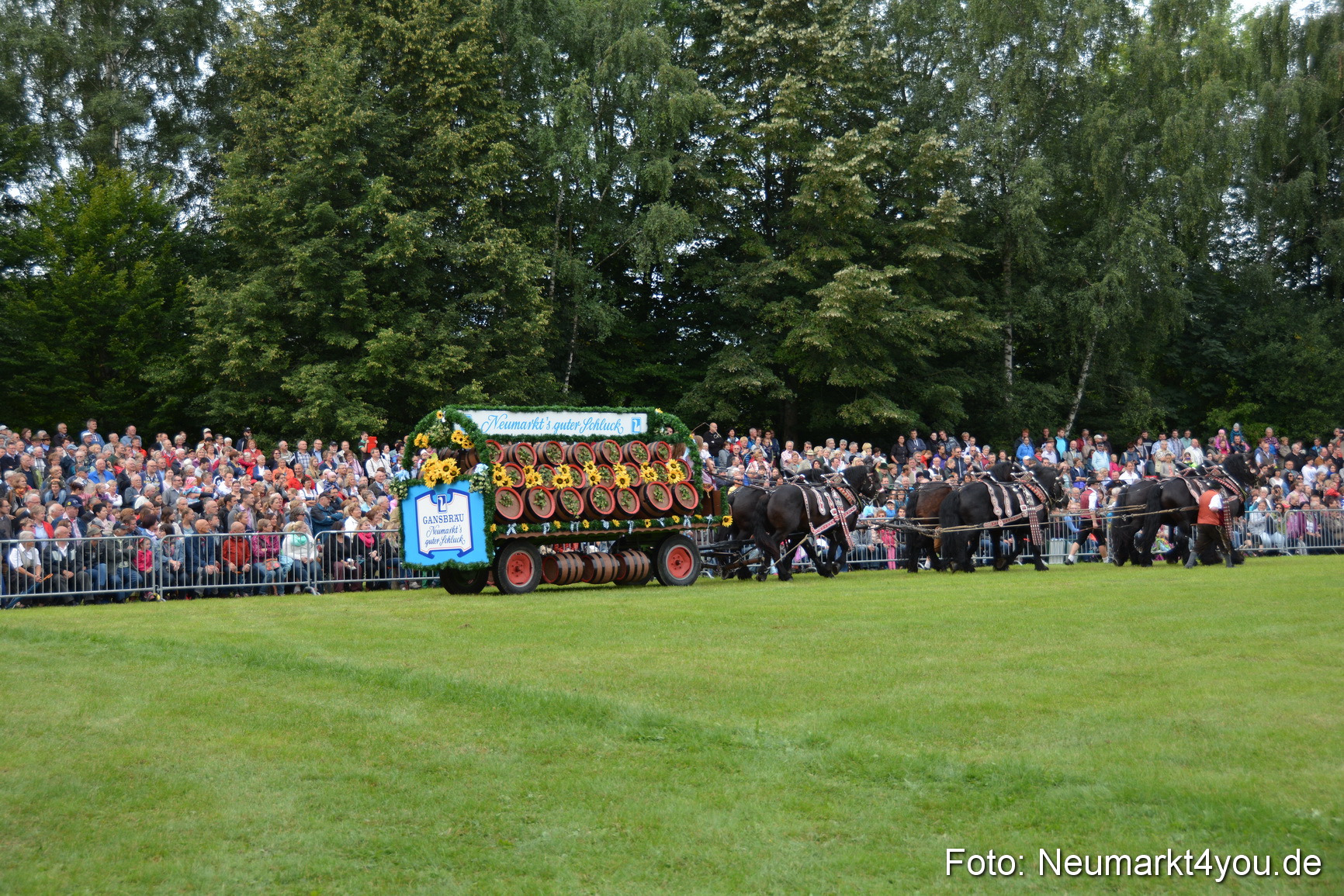 Pferdeschau JURA Volksfest 180814 0051