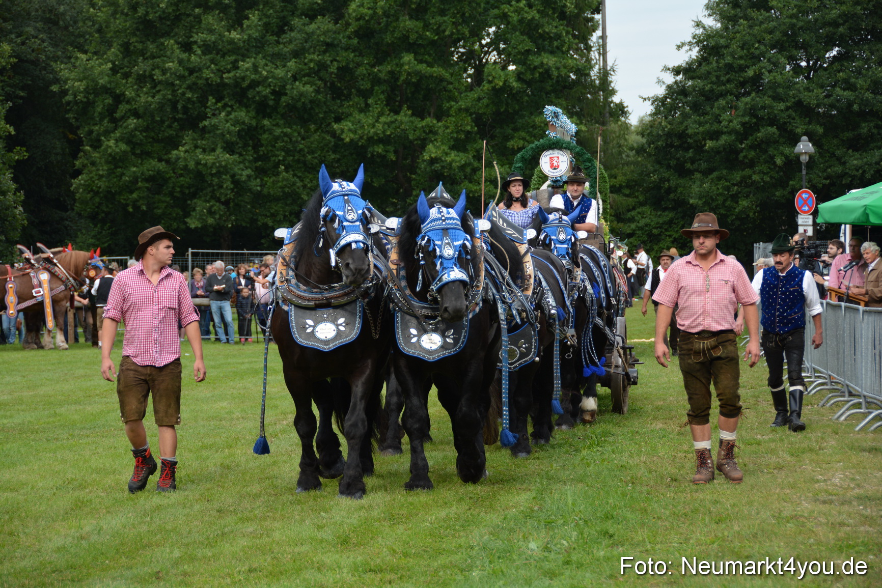 Pferdeschau JURA Volksfest 180814 0052