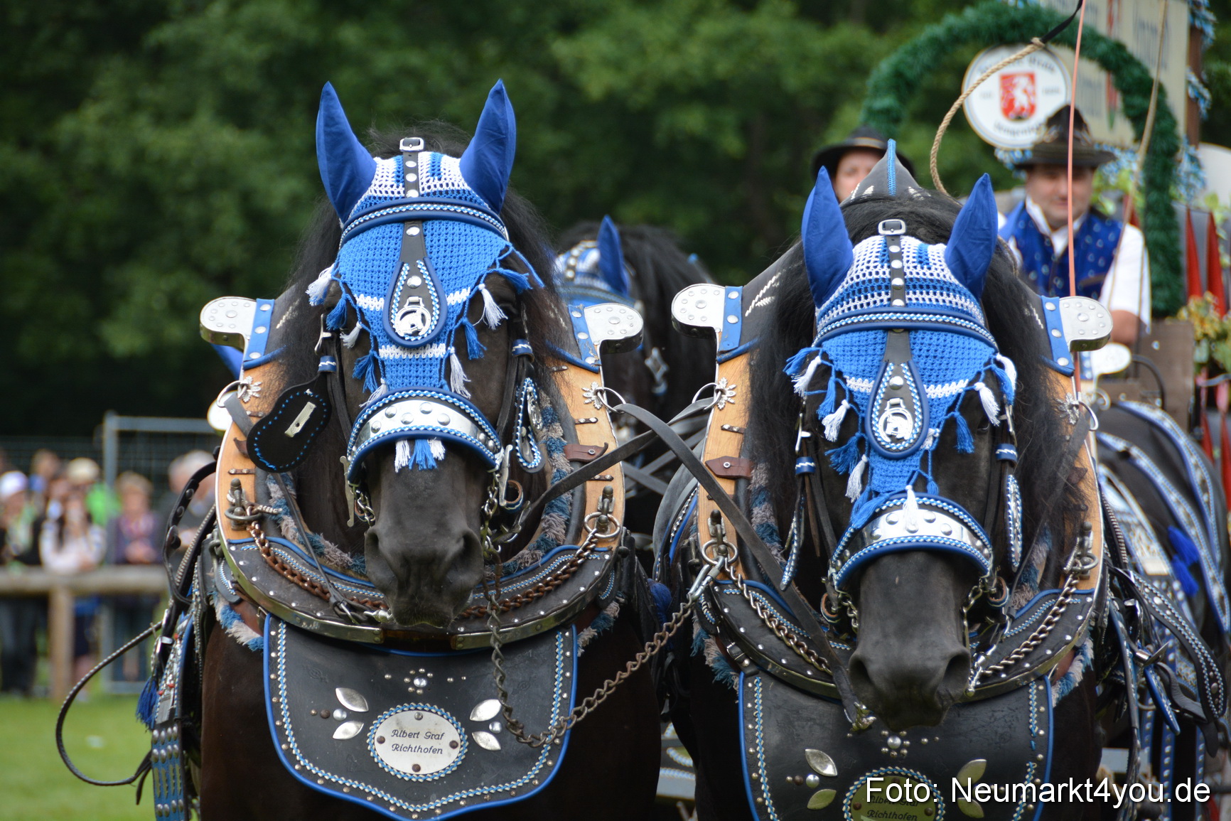 Pferdeschau JURA Volksfest 180814 0053