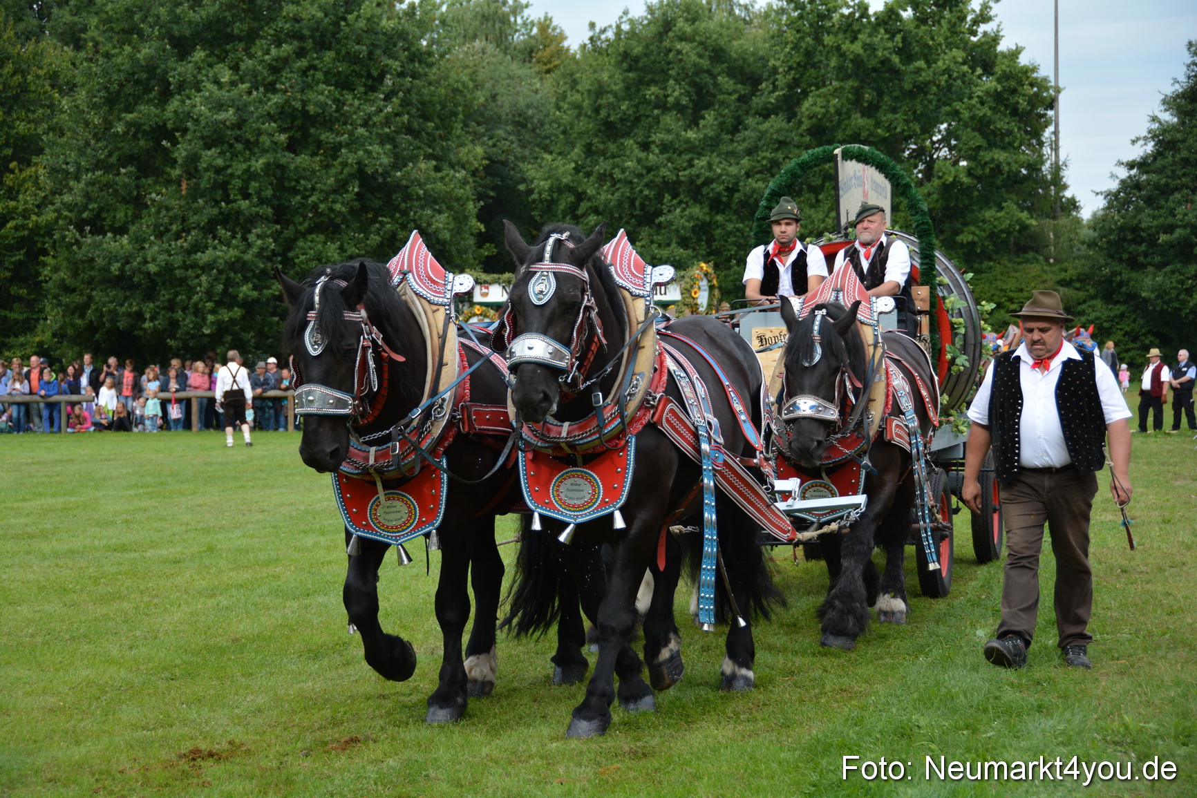 Pferdeschau JURA Volksfest 180814 0059