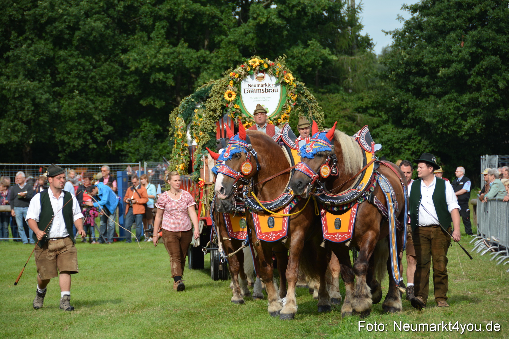 Pferdeschau JURA Volksfest 180814 0063
