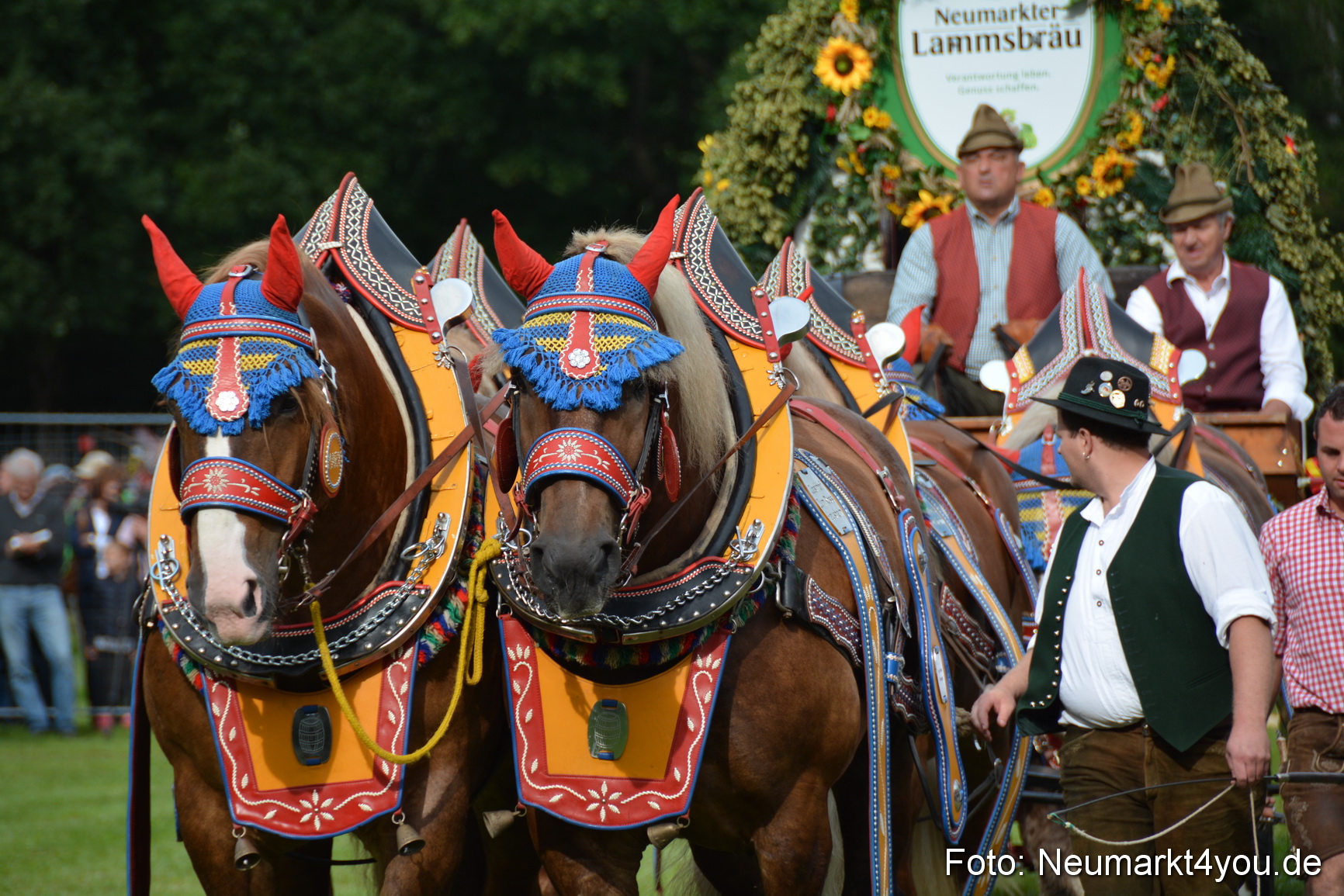 Pferdeschau JURA Volksfest 180814 0064