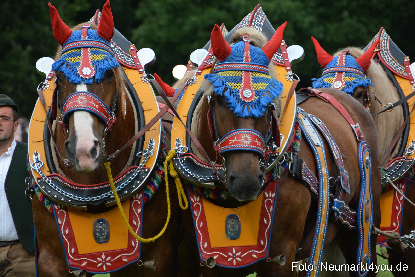 Pferdeschau JURA Volksfest 180814 0065