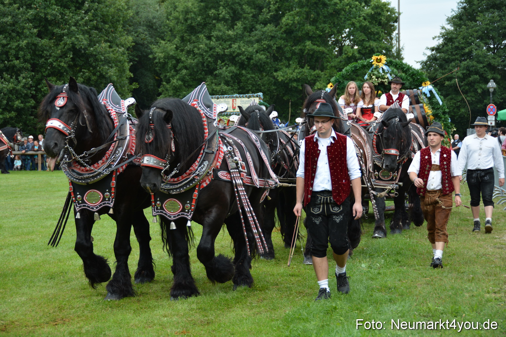 Pferdeschau JURA Volksfest 180814 0066