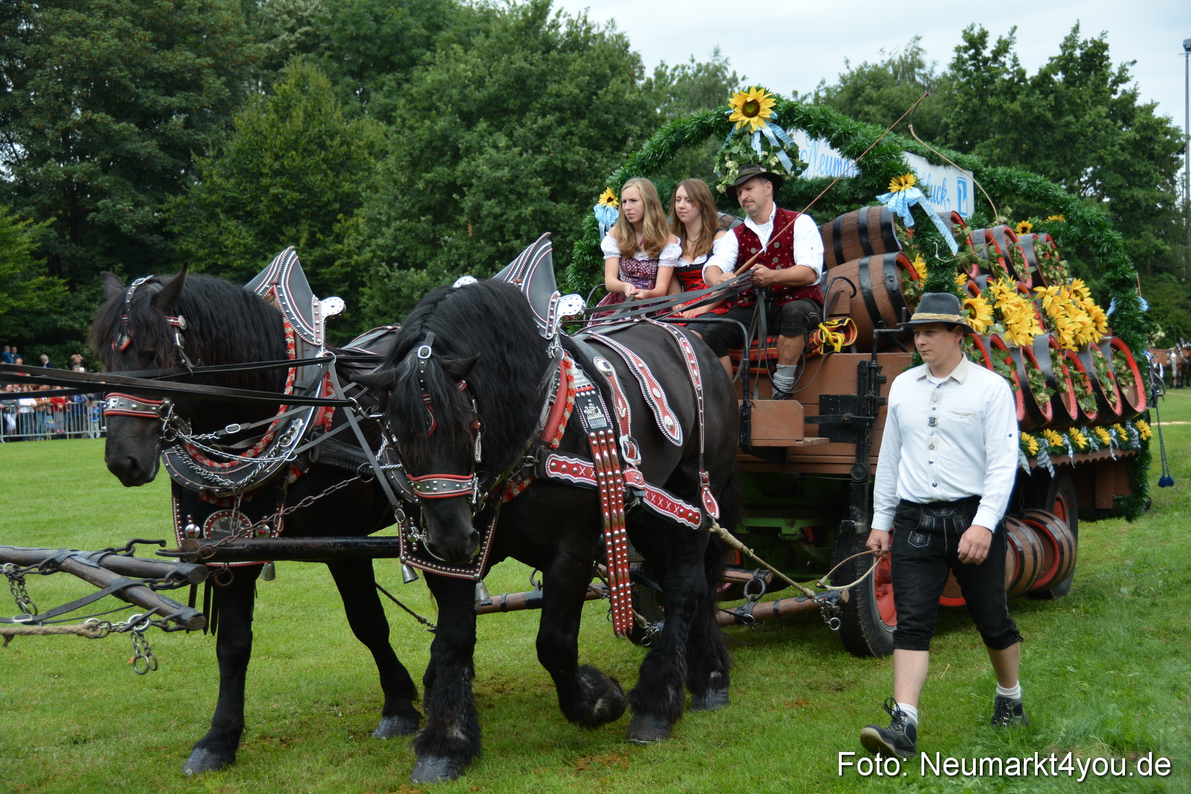 Pferdeschau JURA Volksfest 180814 0067
