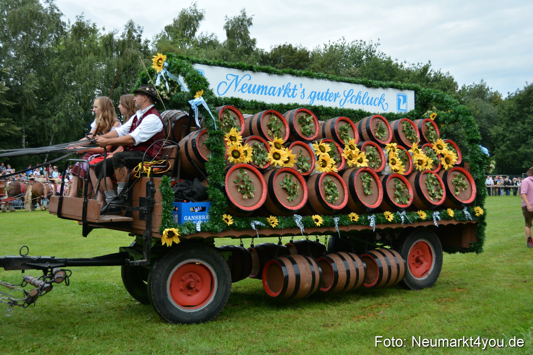 Pferdeschau JURA Volksfest 180814 0068