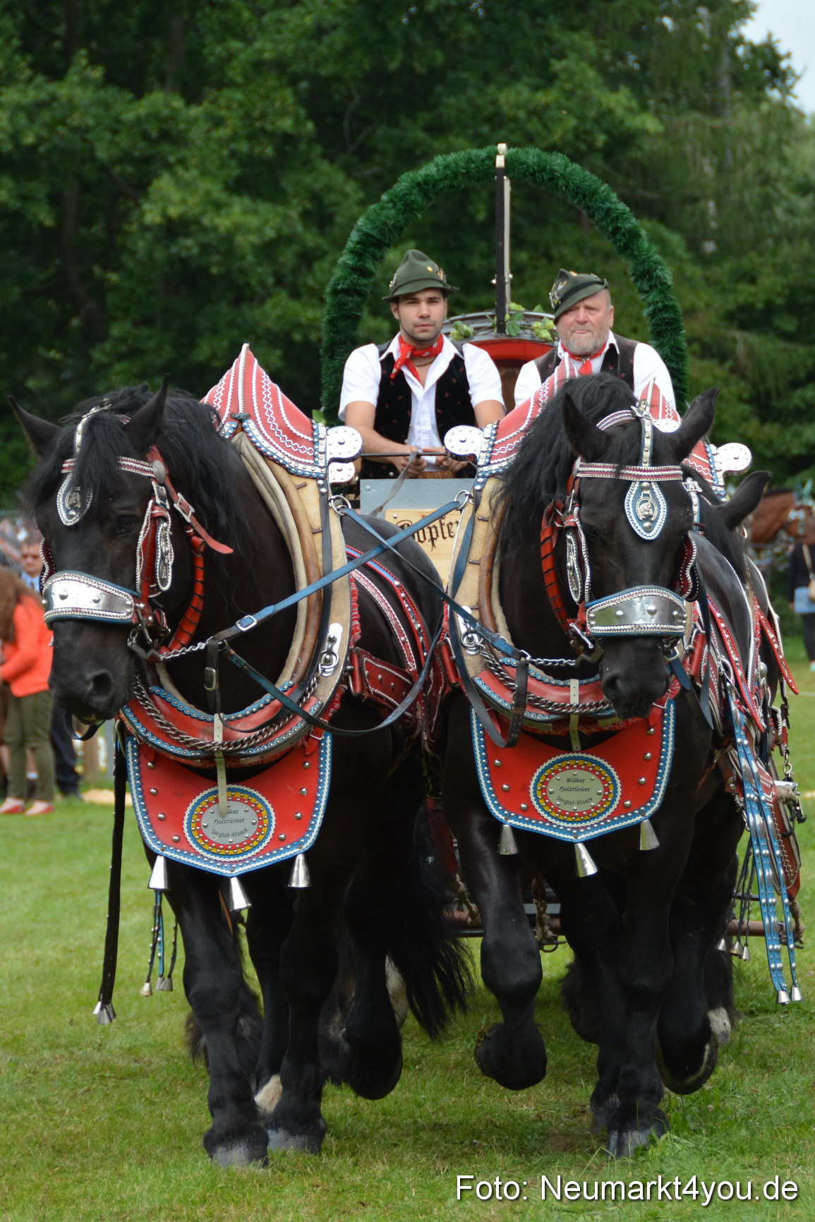 Pferdeschau JURA Volksfest 180814 0070