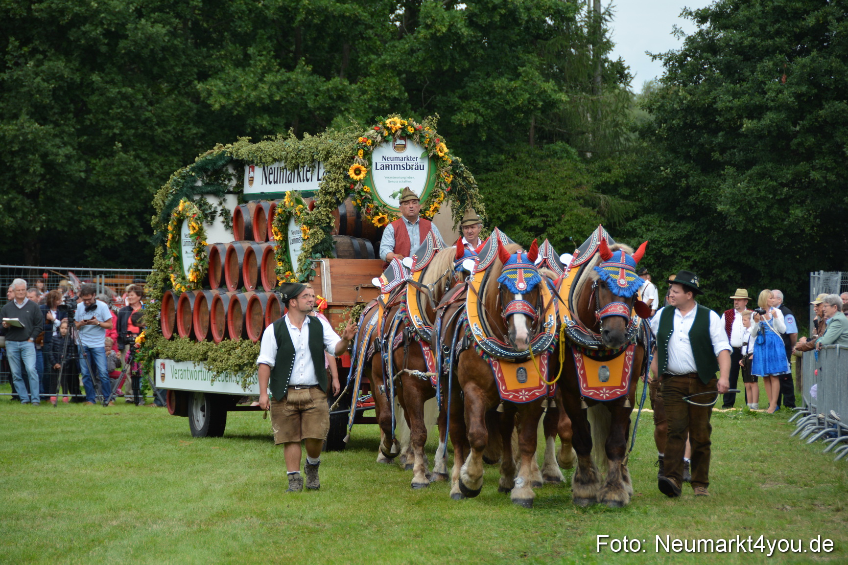 Pferdeschau JURA Volksfest 180814 0071