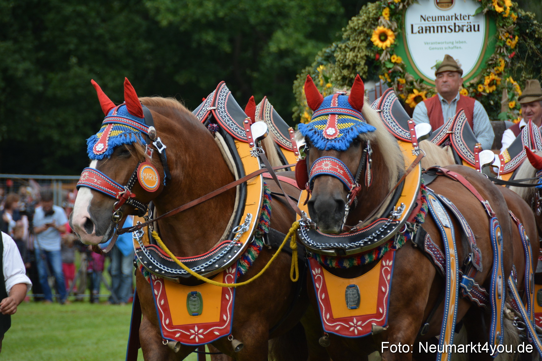 Pferdeschau JURA Volksfest 180814 0072