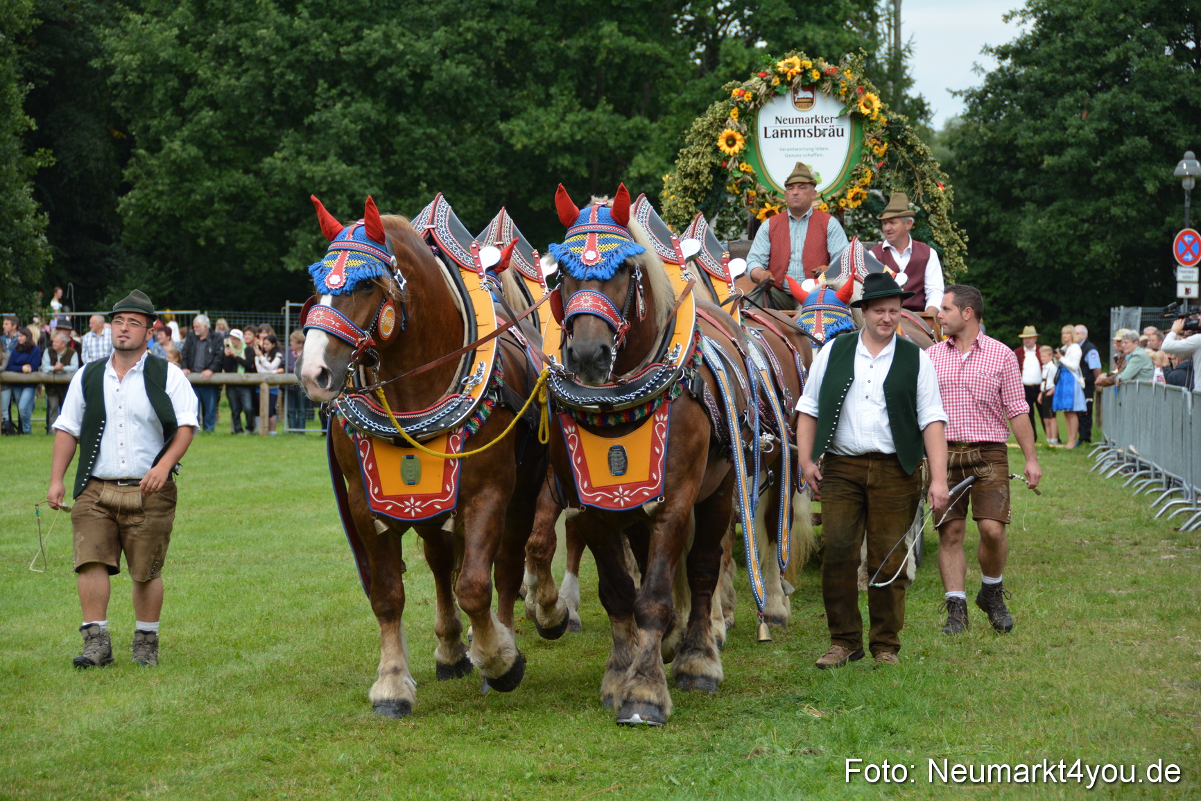 Pferdeschau JURA Volksfest 180814 0073