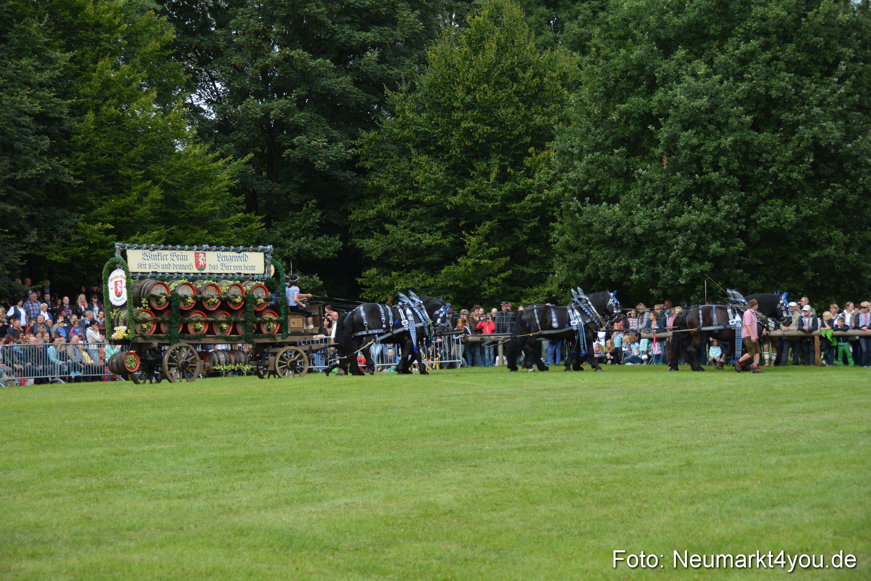 Pferdeschau JURA Volksfest 180814 0076