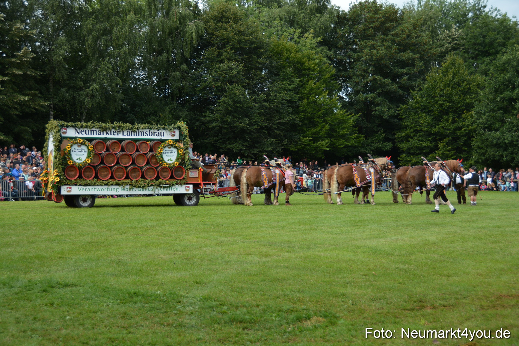 Pferdeschau JURA Volksfest 180814 0078