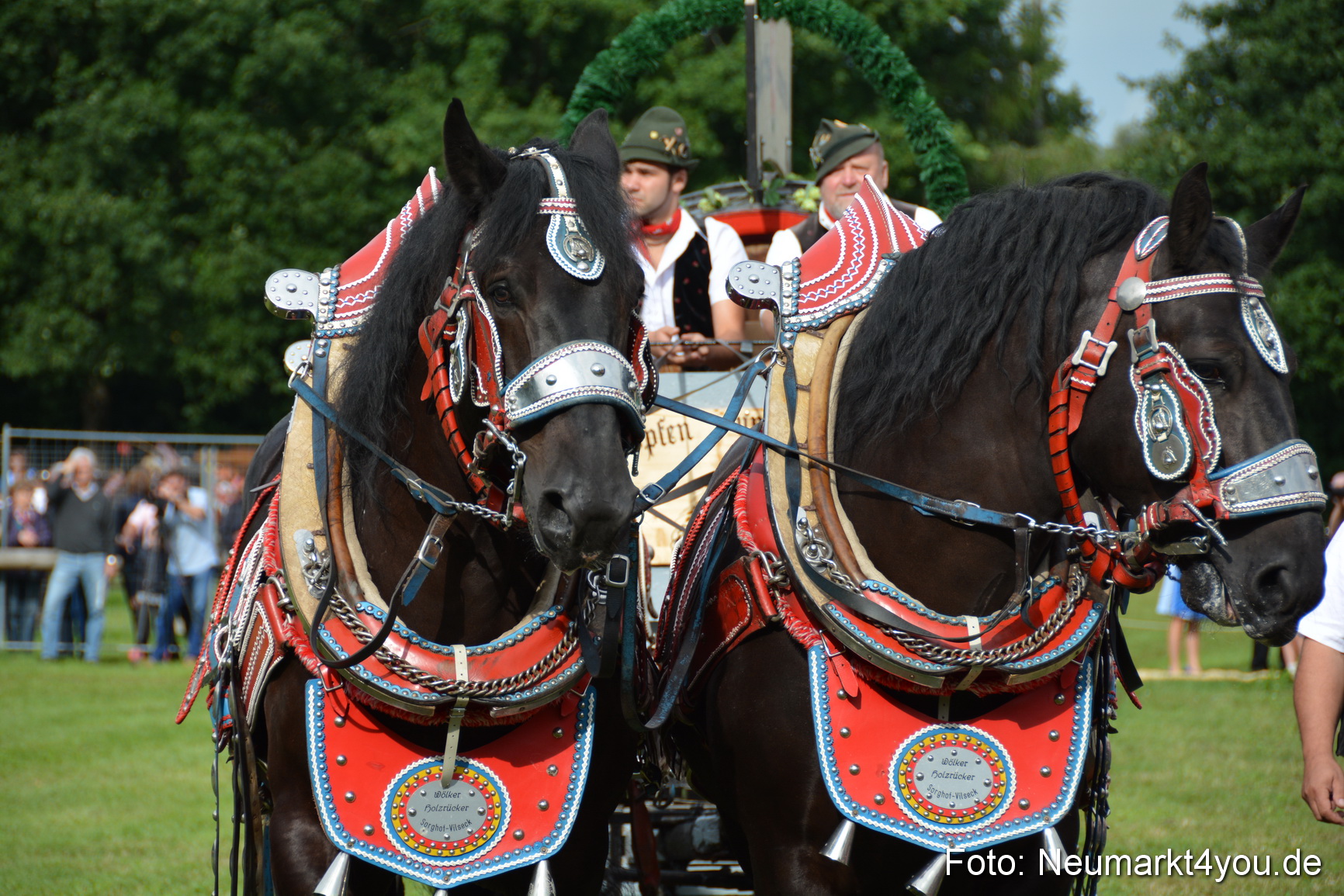 Pferdeschau JURA Volksfest 180814 0080