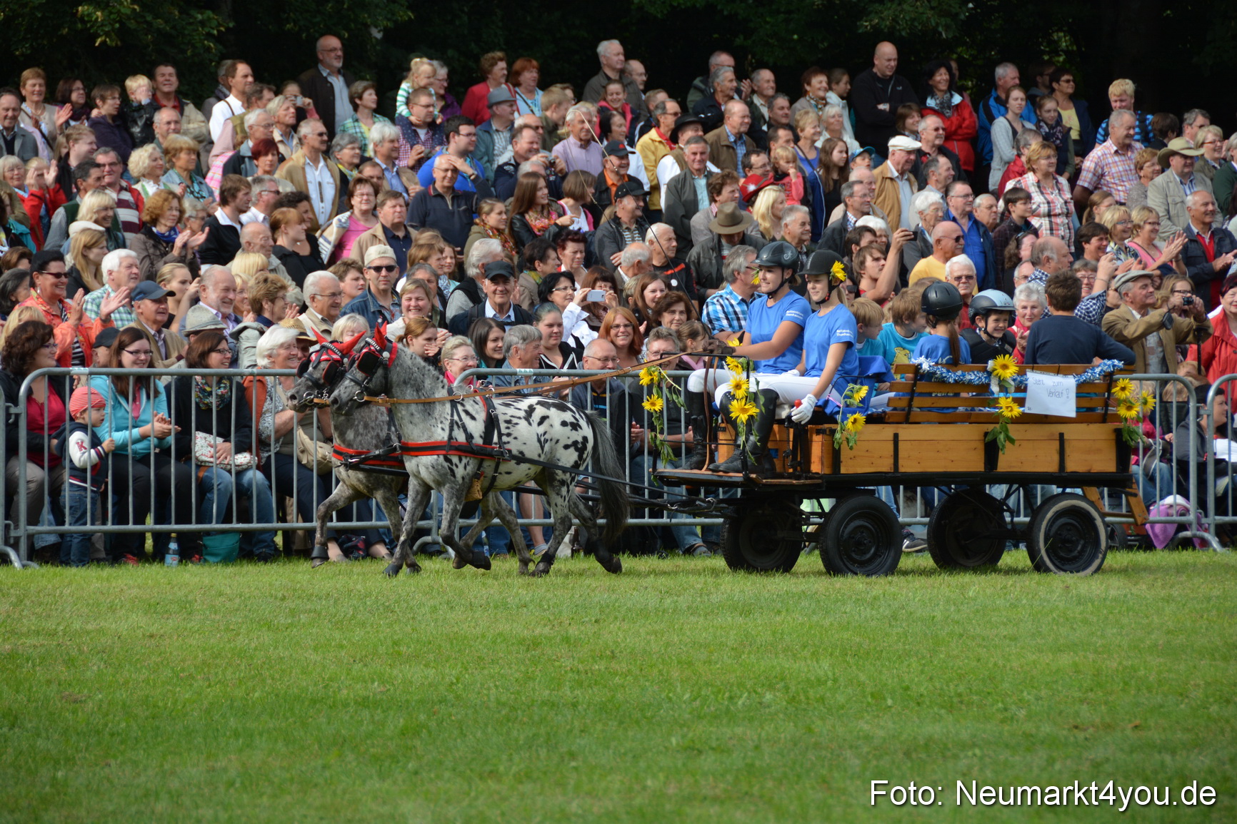 Pferdeschau JURA Volksfest 180814 0082