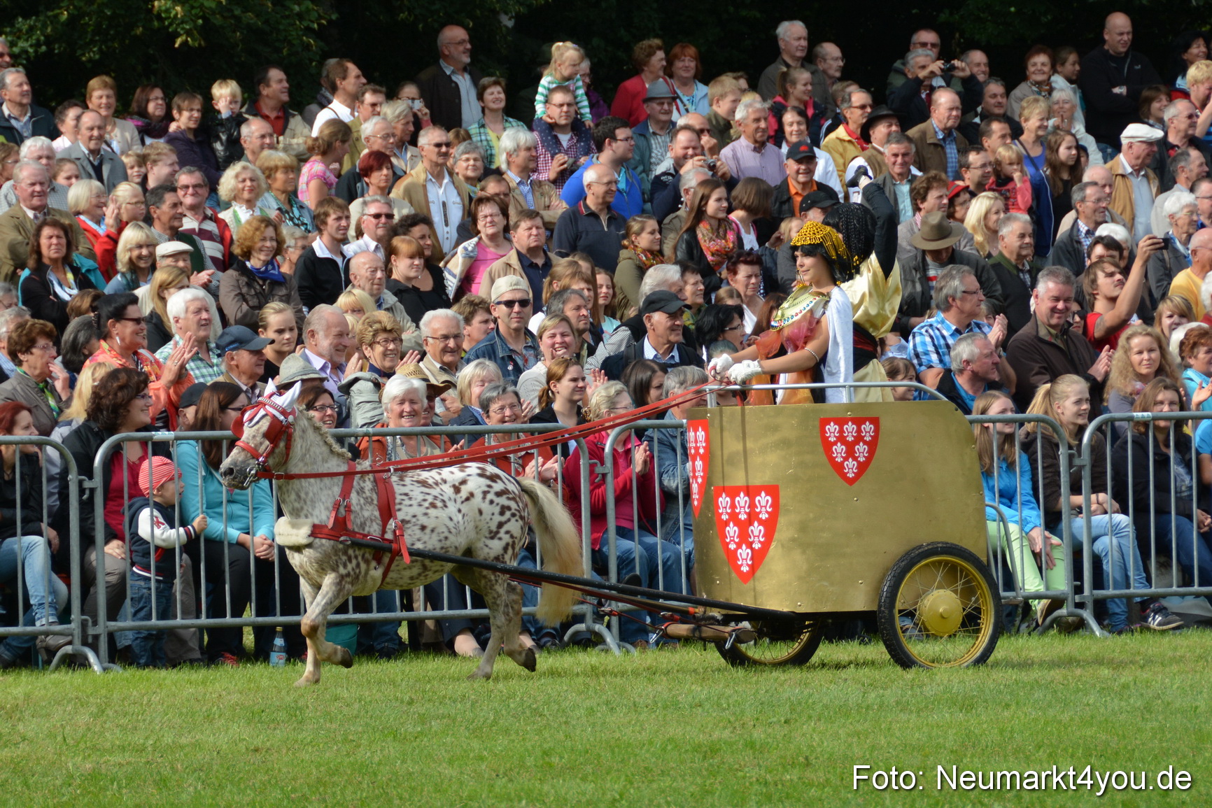 Pferdeschau JURA Volksfest 180814 0083
