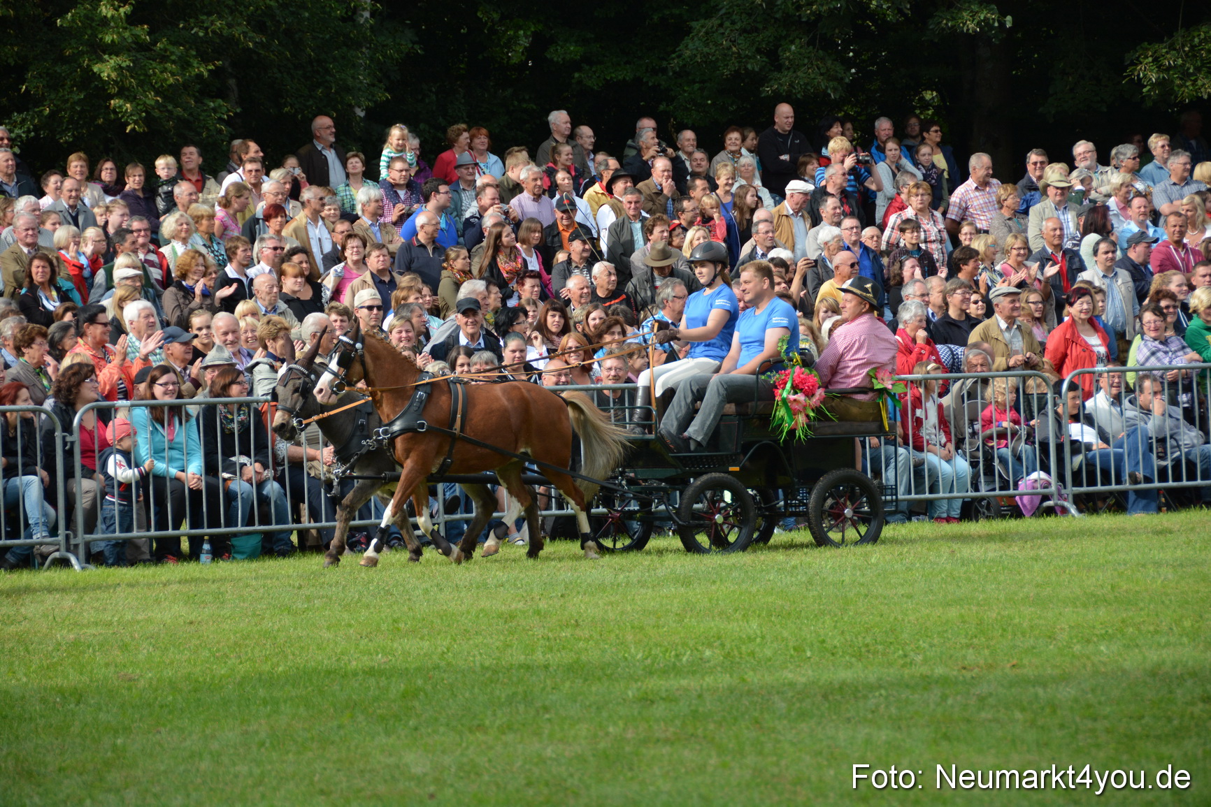 Pferdeschau JURA Volksfest 180814 0084